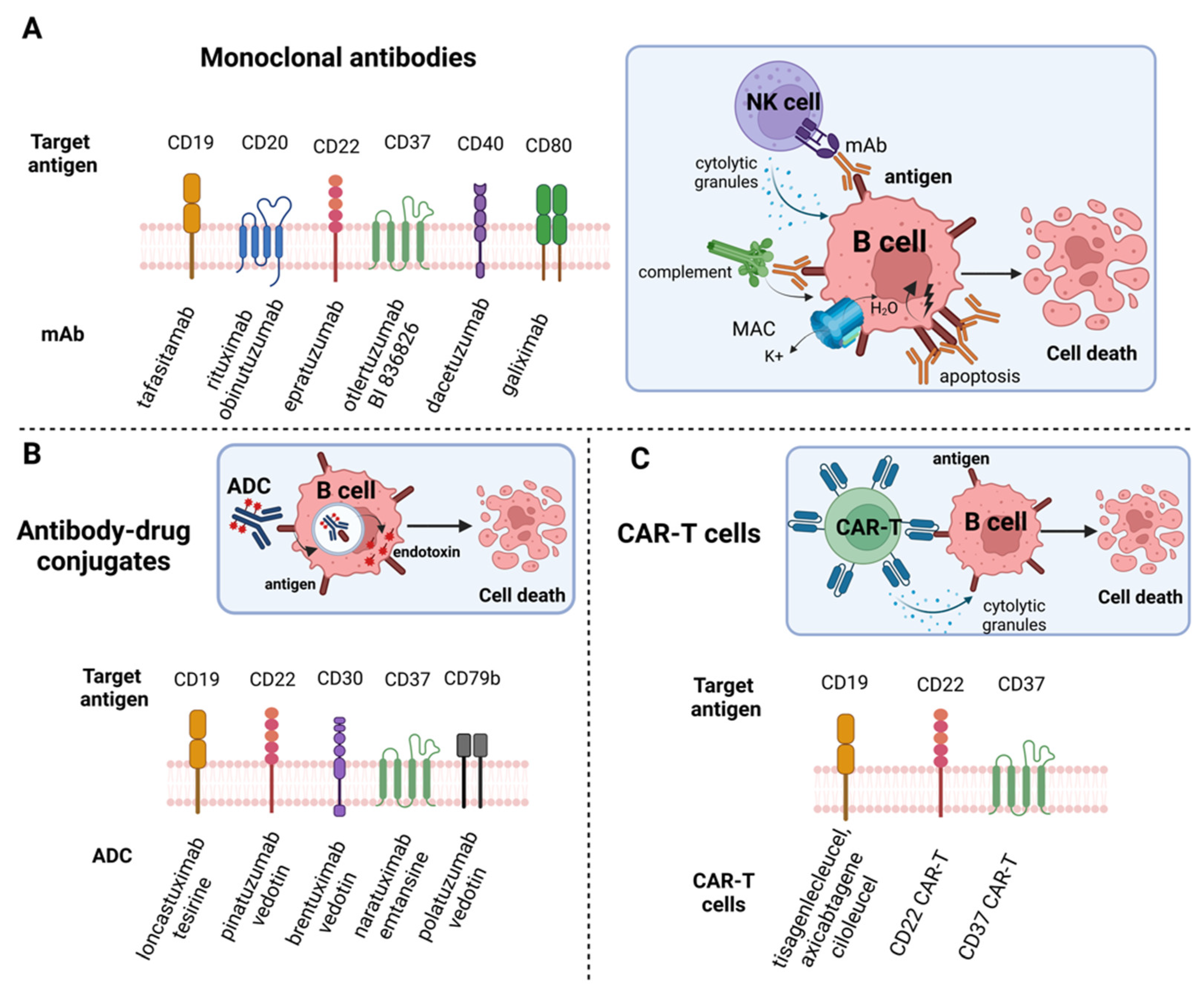 Cancers 15 00235 g003 Cancers 15 00235 g003