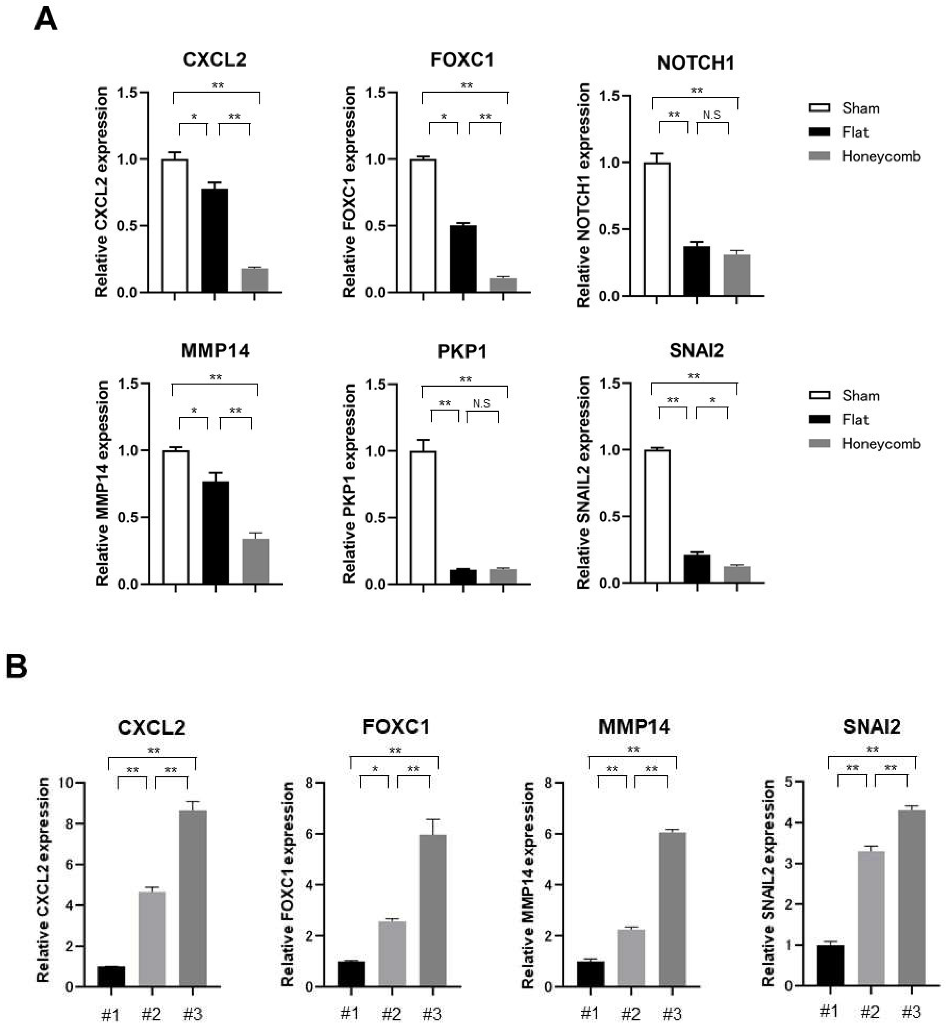 Cancers 15 00237 g007 Cancers 15 00237 g007