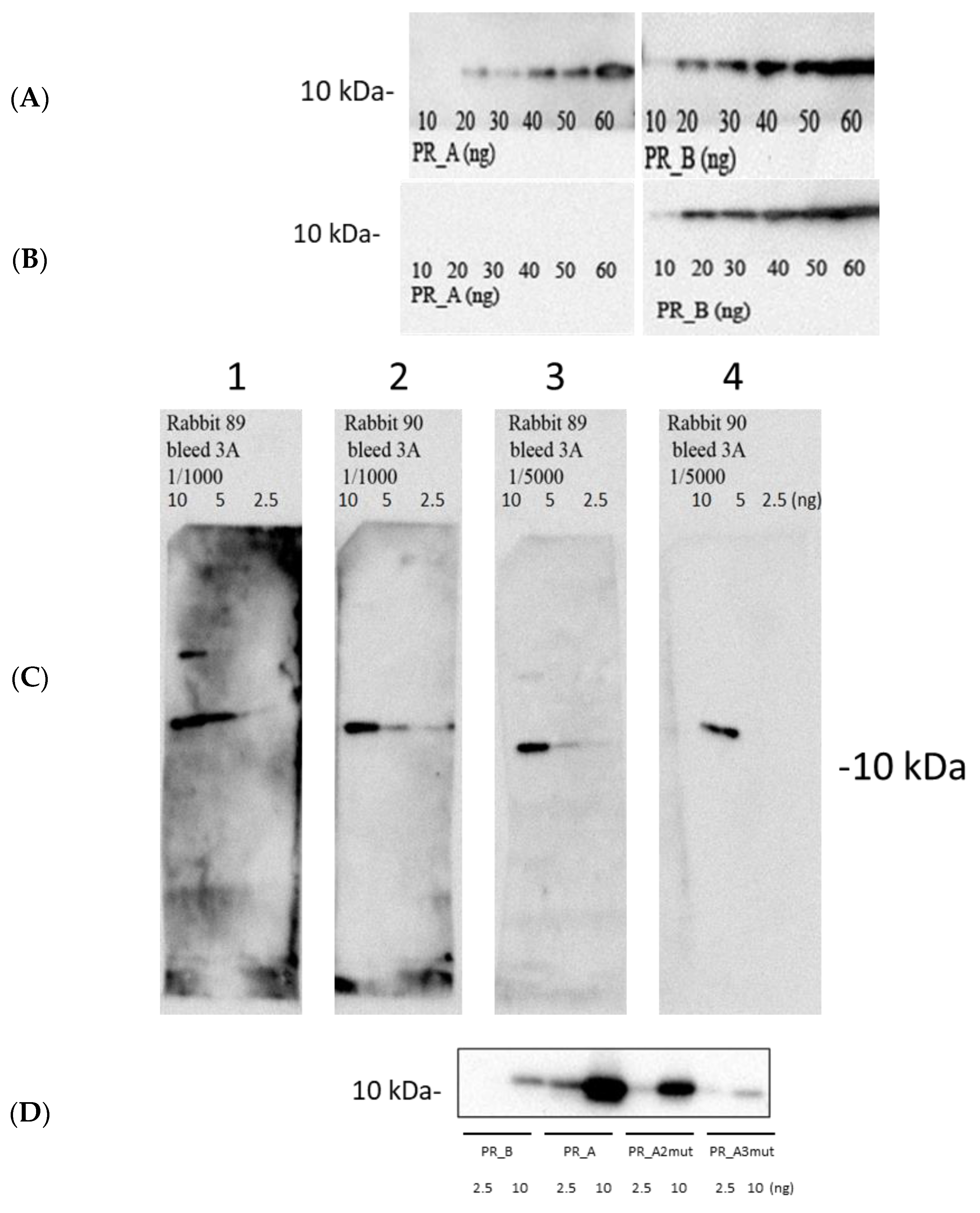 Cancers 15 00238 g002a Cancers 15 00238 g002a