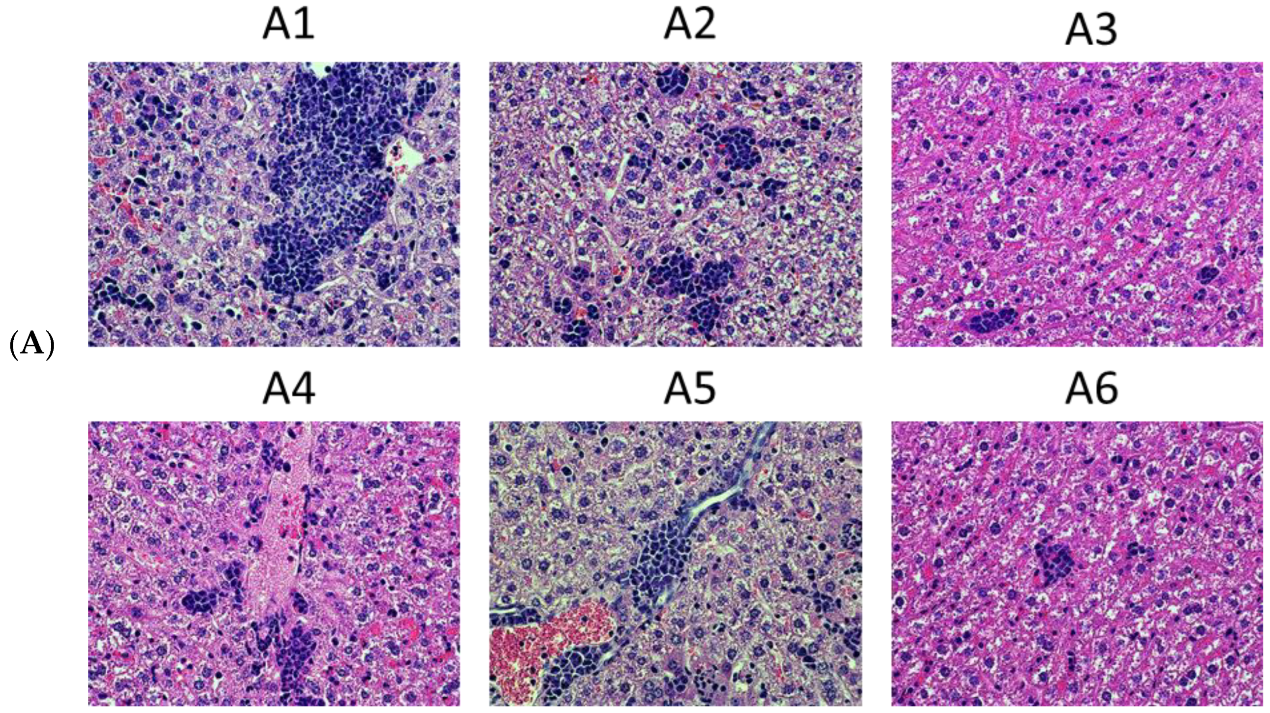 Cancers 15 00238 g009a Cancers 15 00238 g009a