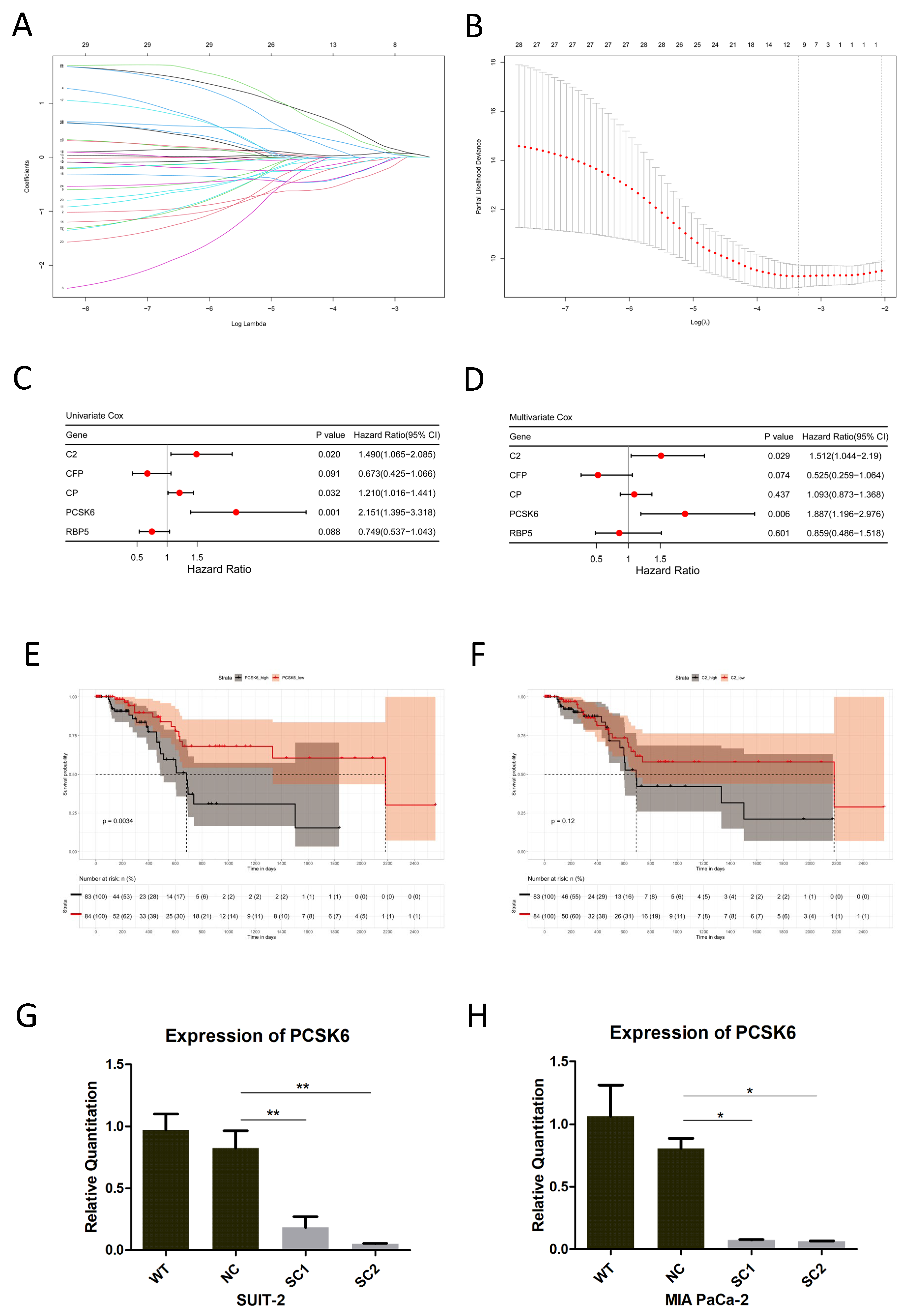Cancers 15 00241 g002