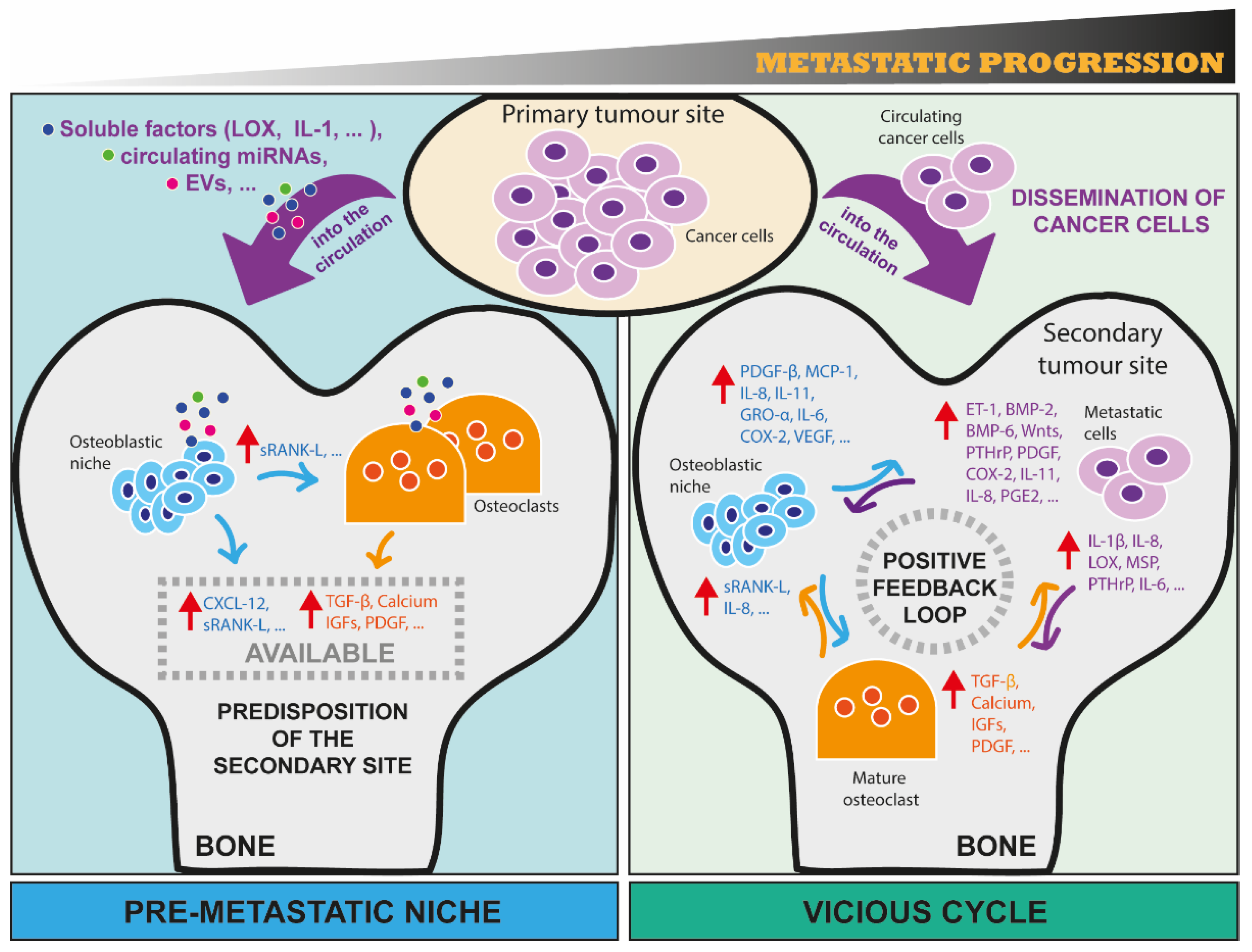 Cancers 15 00242 g001 Cancers 15 00242 g001