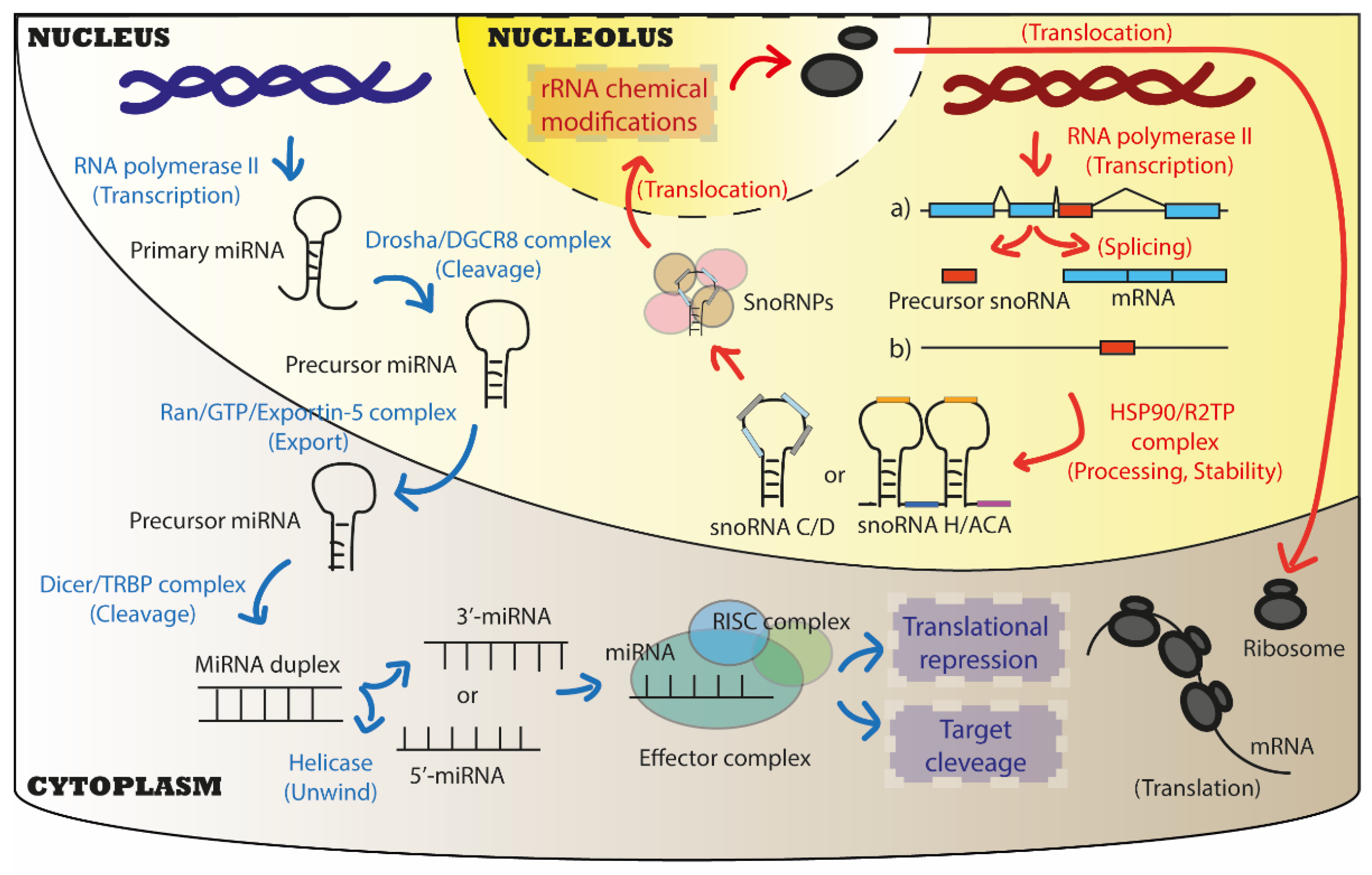 Cancers 15 00242 g002 Cancers 15 00242 g002