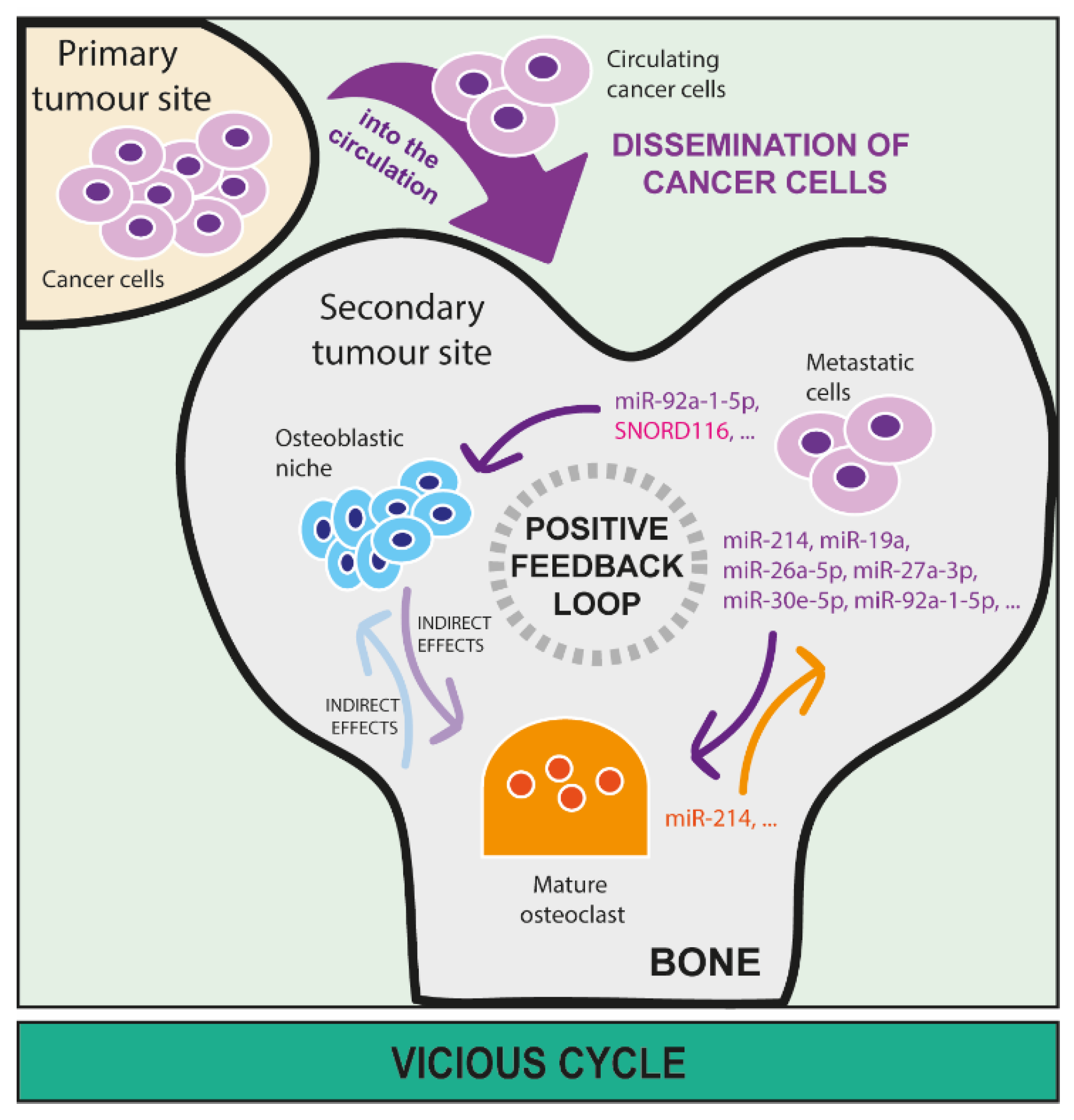 Cancers 15 00242 g004 Cancers 15 00242 g004