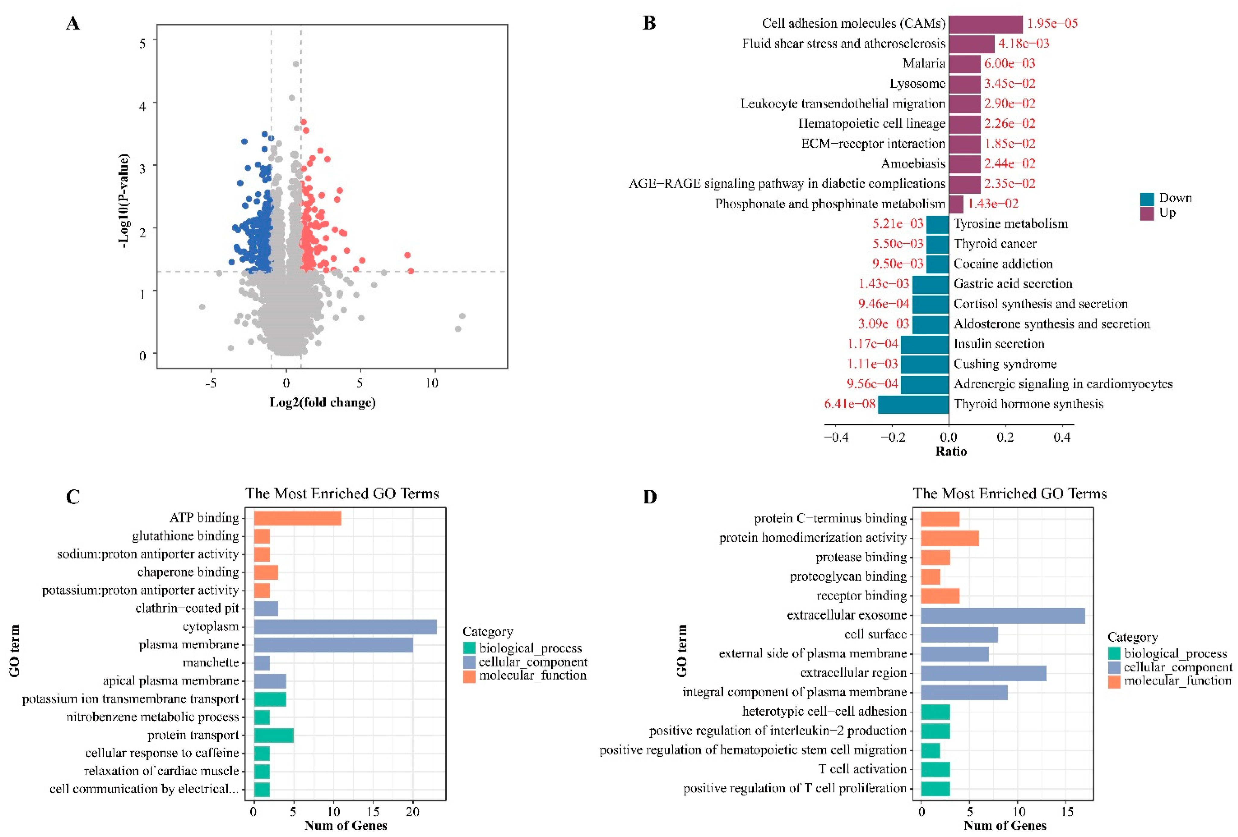 Cancers 15 00243 g002 Cancers 15 00243 g002