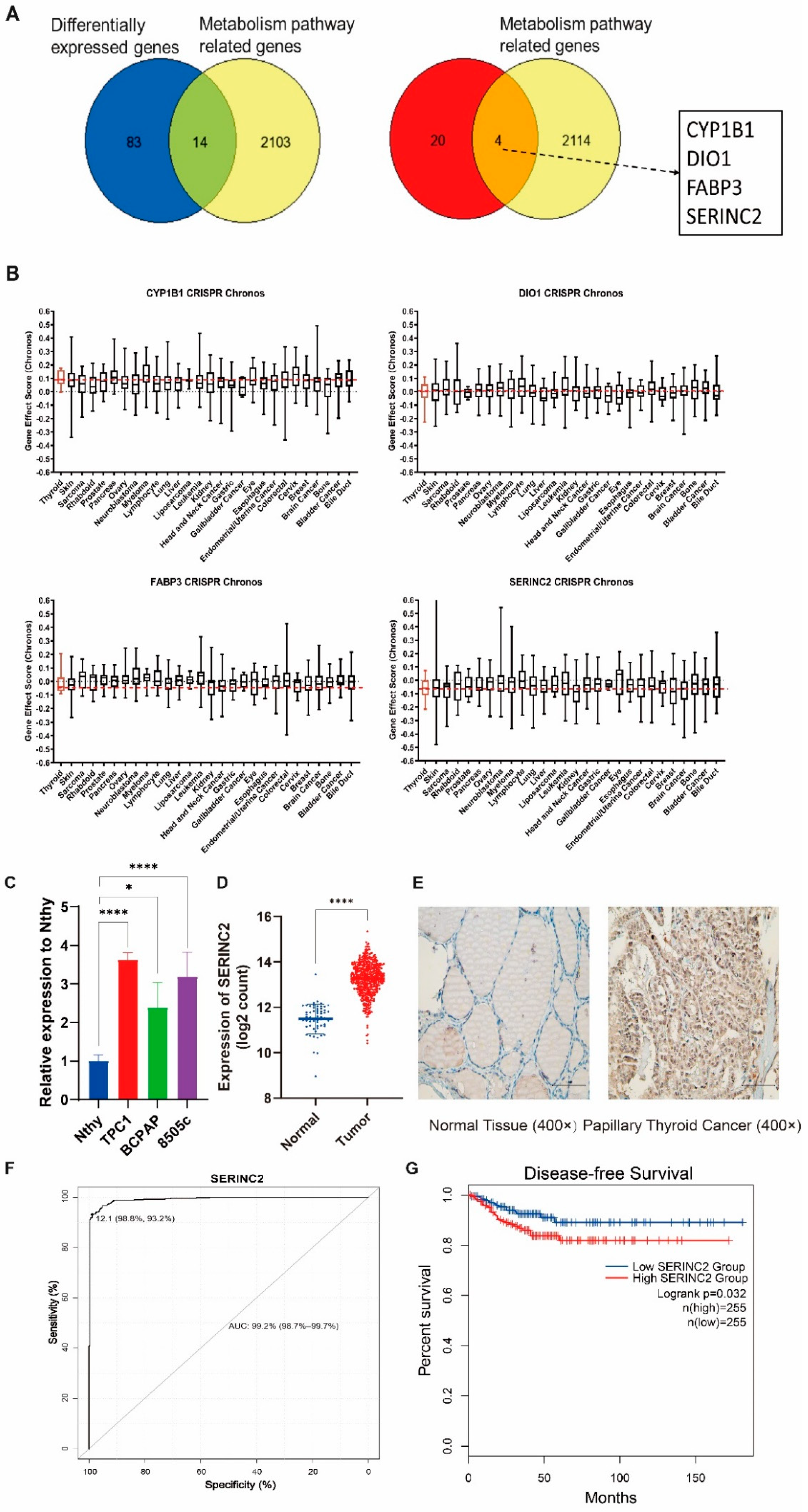Cancers 15 00243 g004 Cancers 15 00243 g004