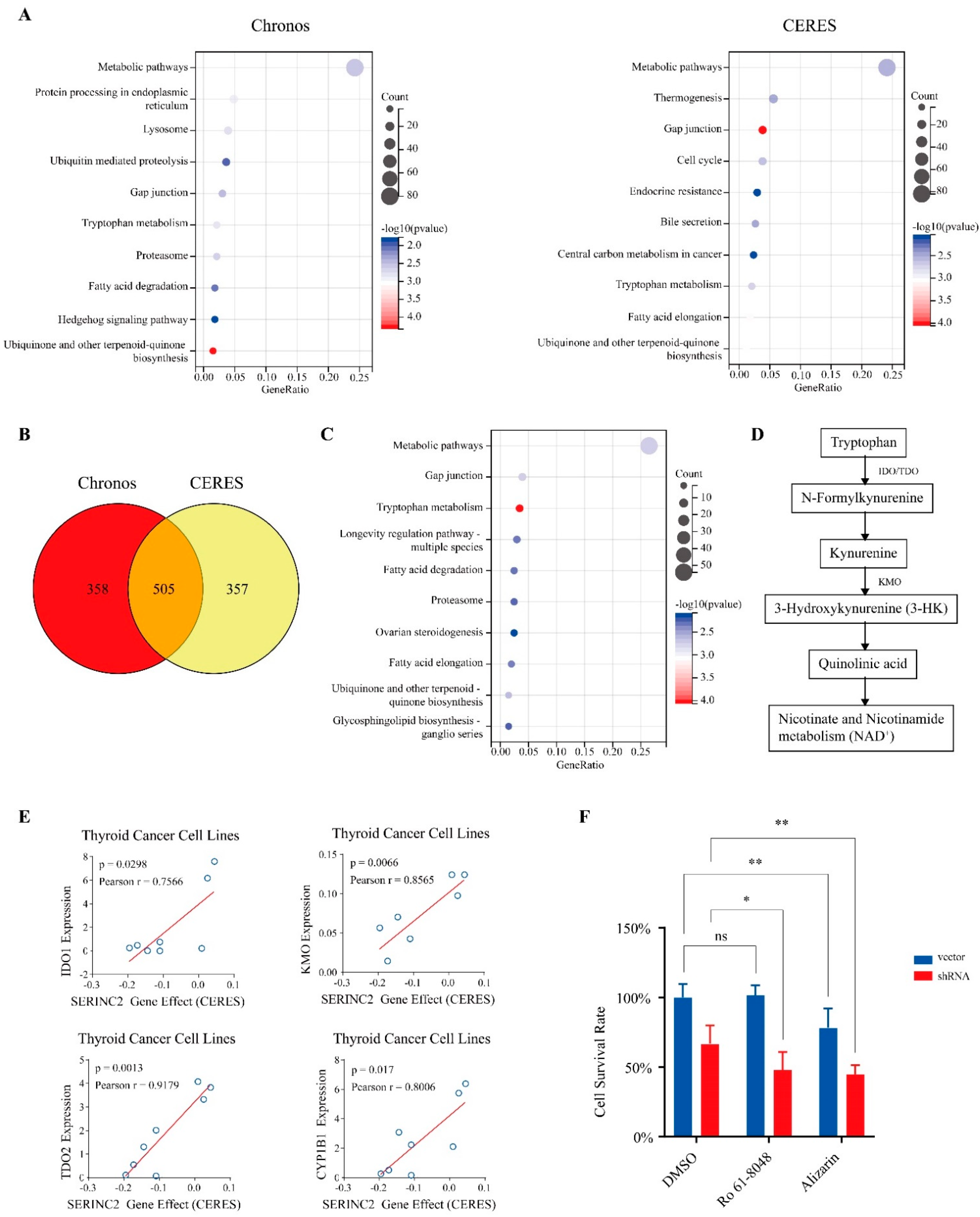 Cancers 15 00243 g006 Cancers 15 00243 g006