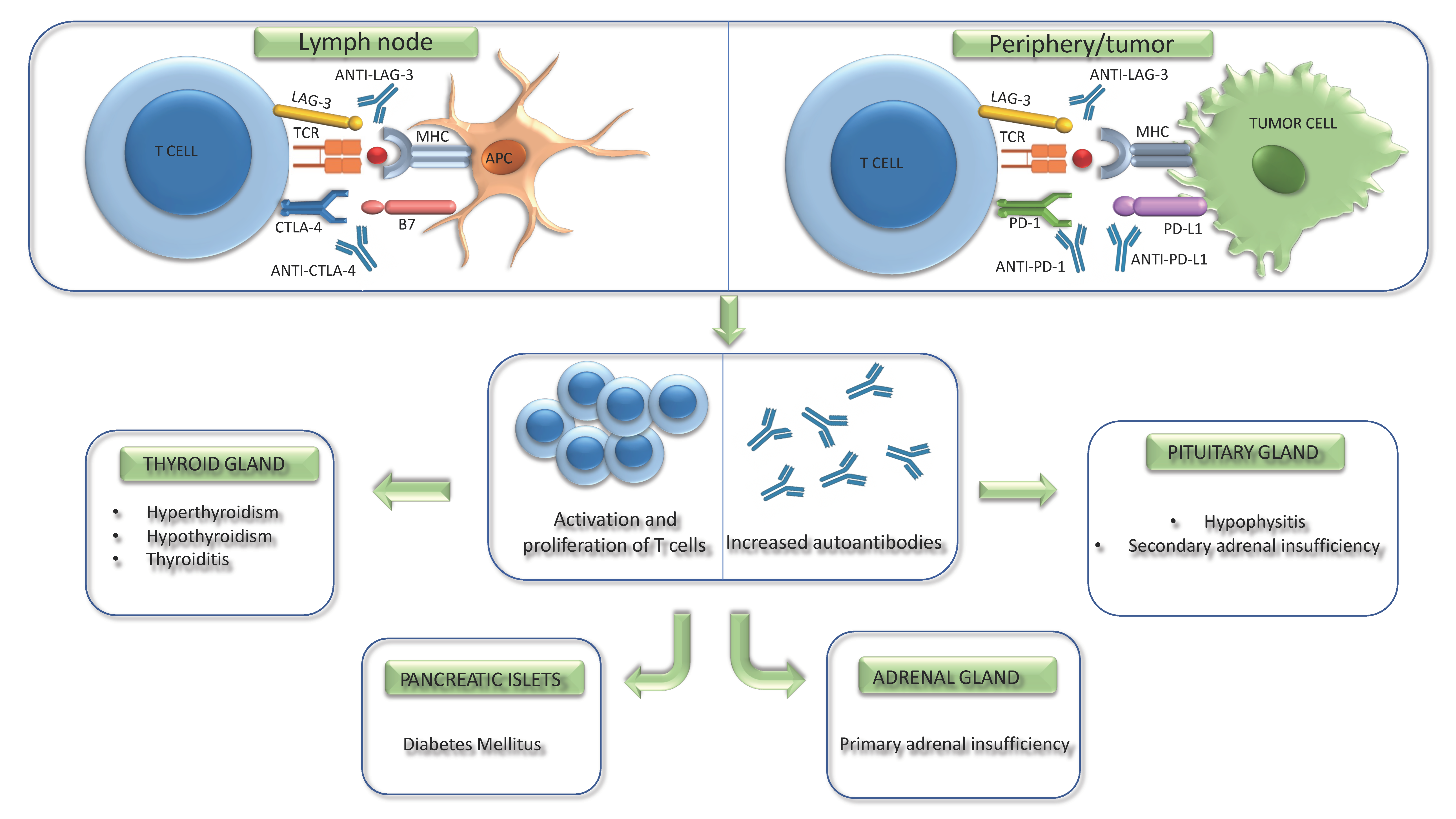Cancers 15 00246 g001