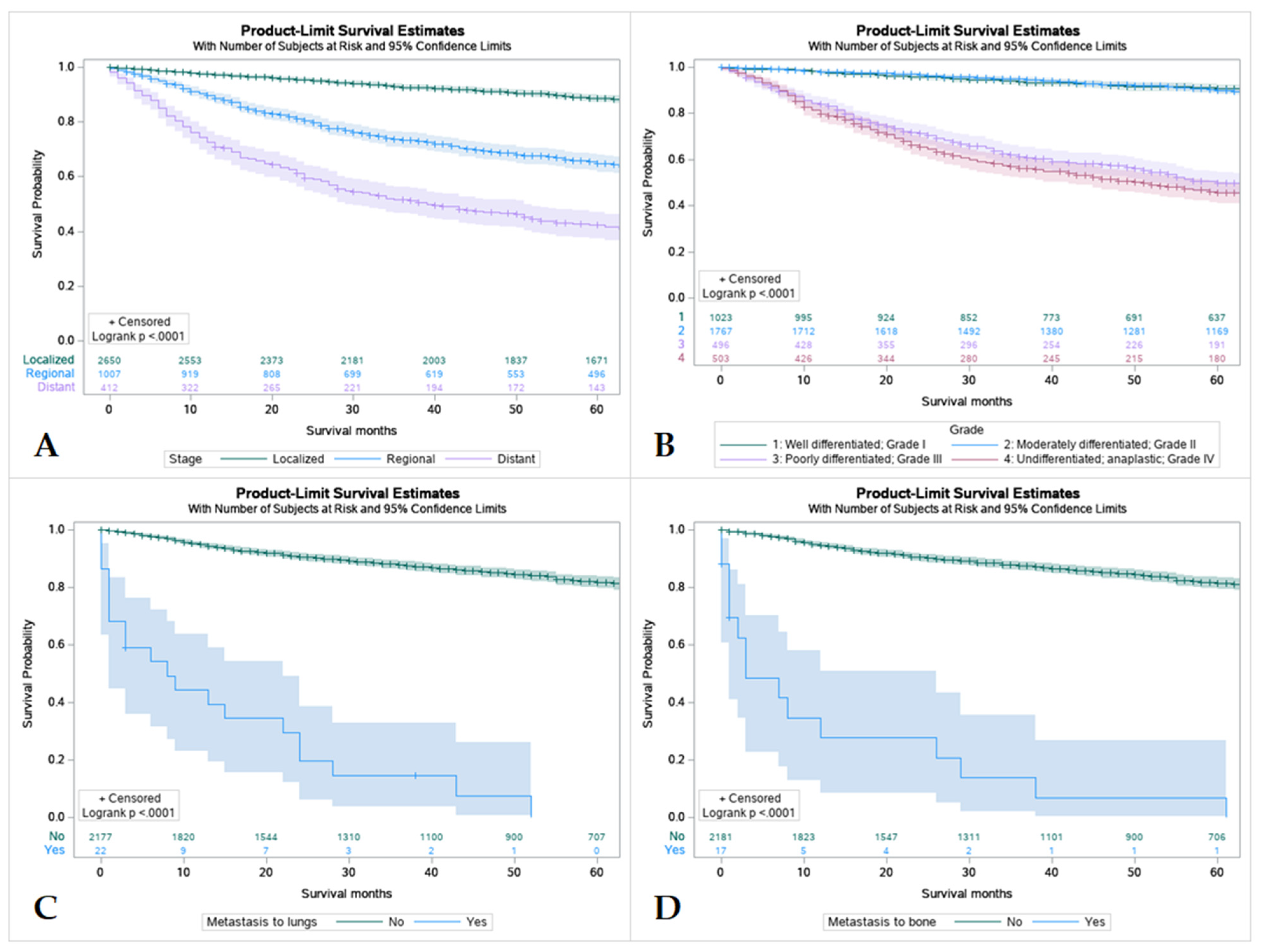 Cancers 15 00250 g005 Cancers 15 00250 g005