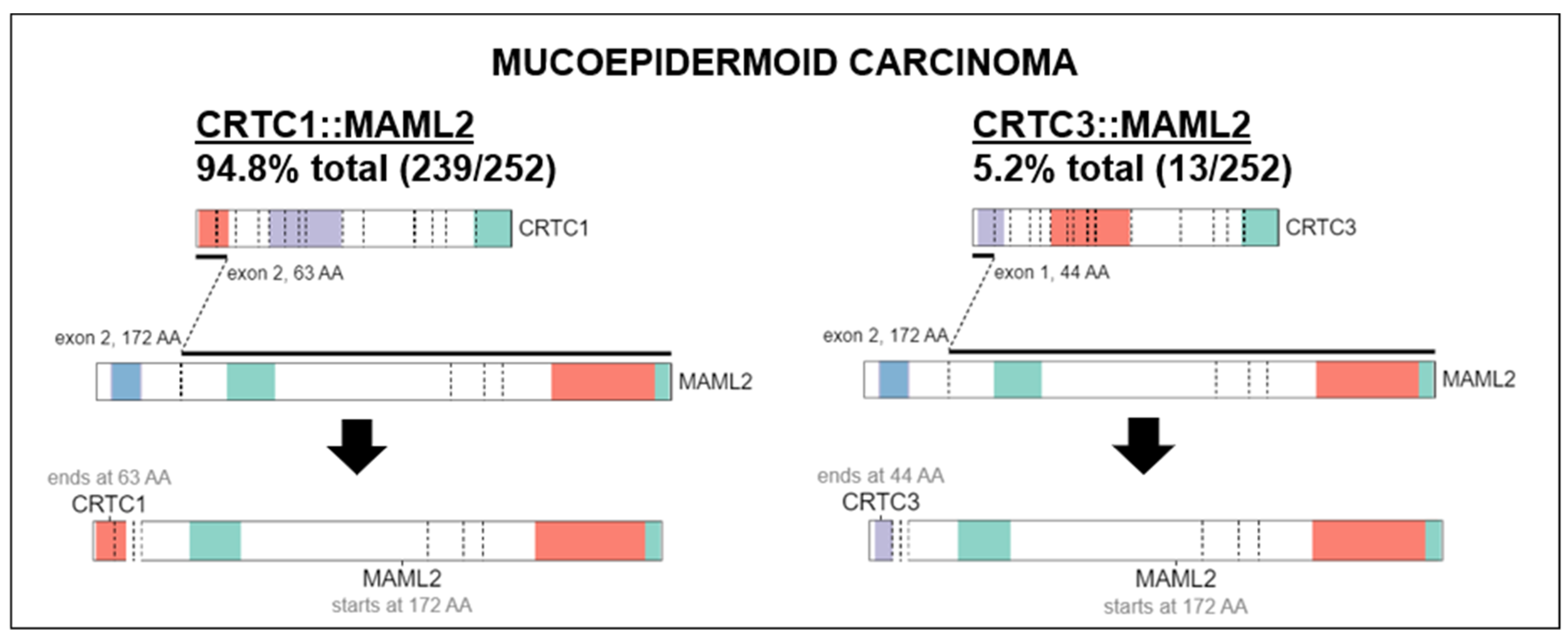 Cancers 15 00250 g006 Cancers 15 00250 g006