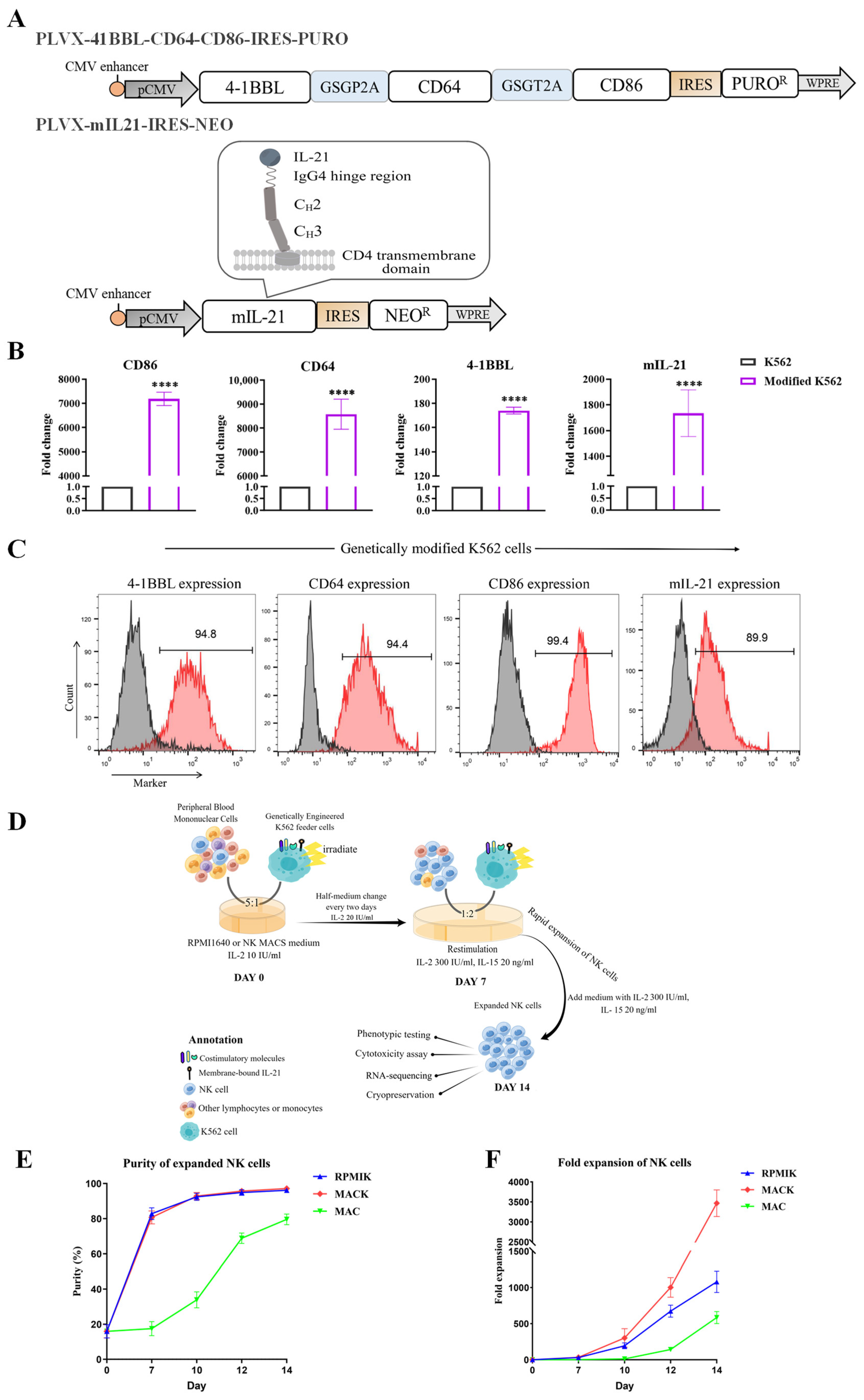 Cancers 15 00251 g001 Cancers 15 00251 g001