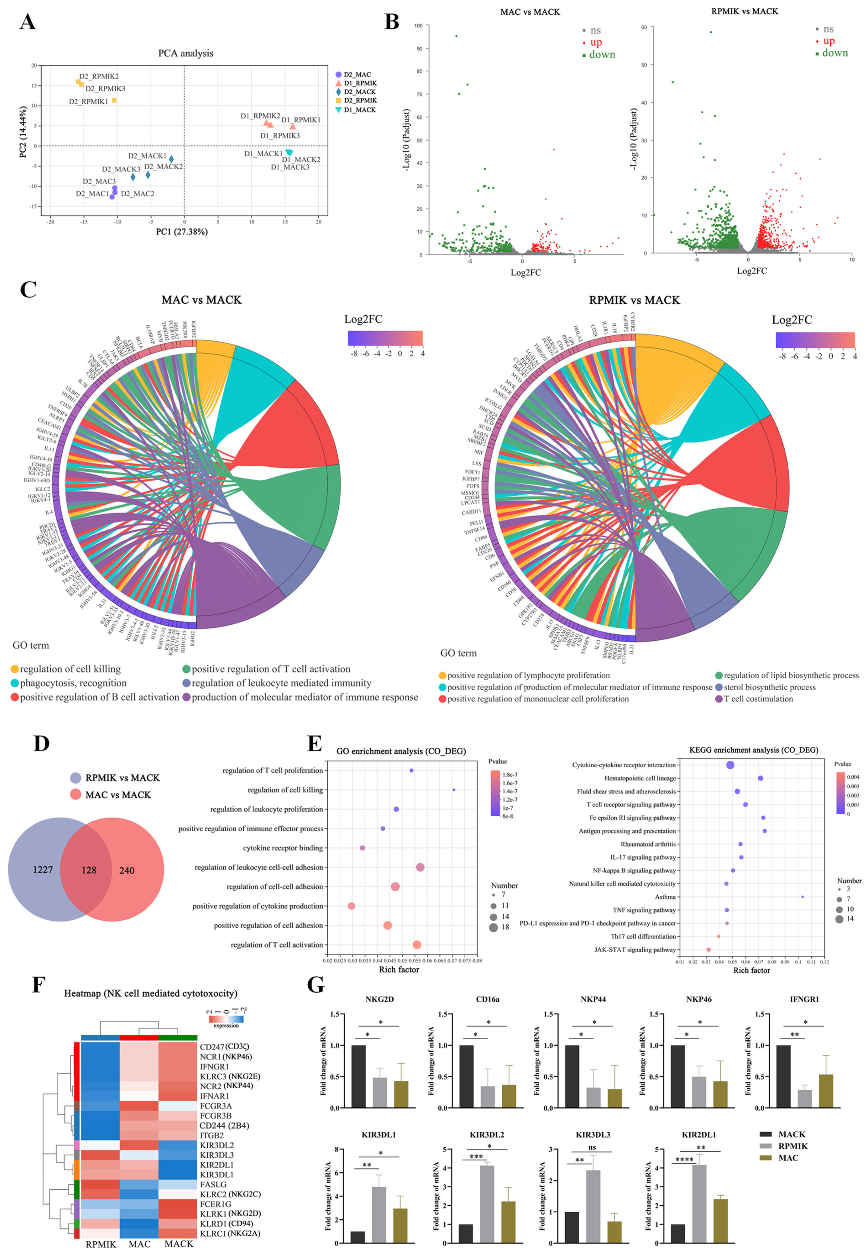 Cancers 15 00251 g003 Cancers 15 00251 g003