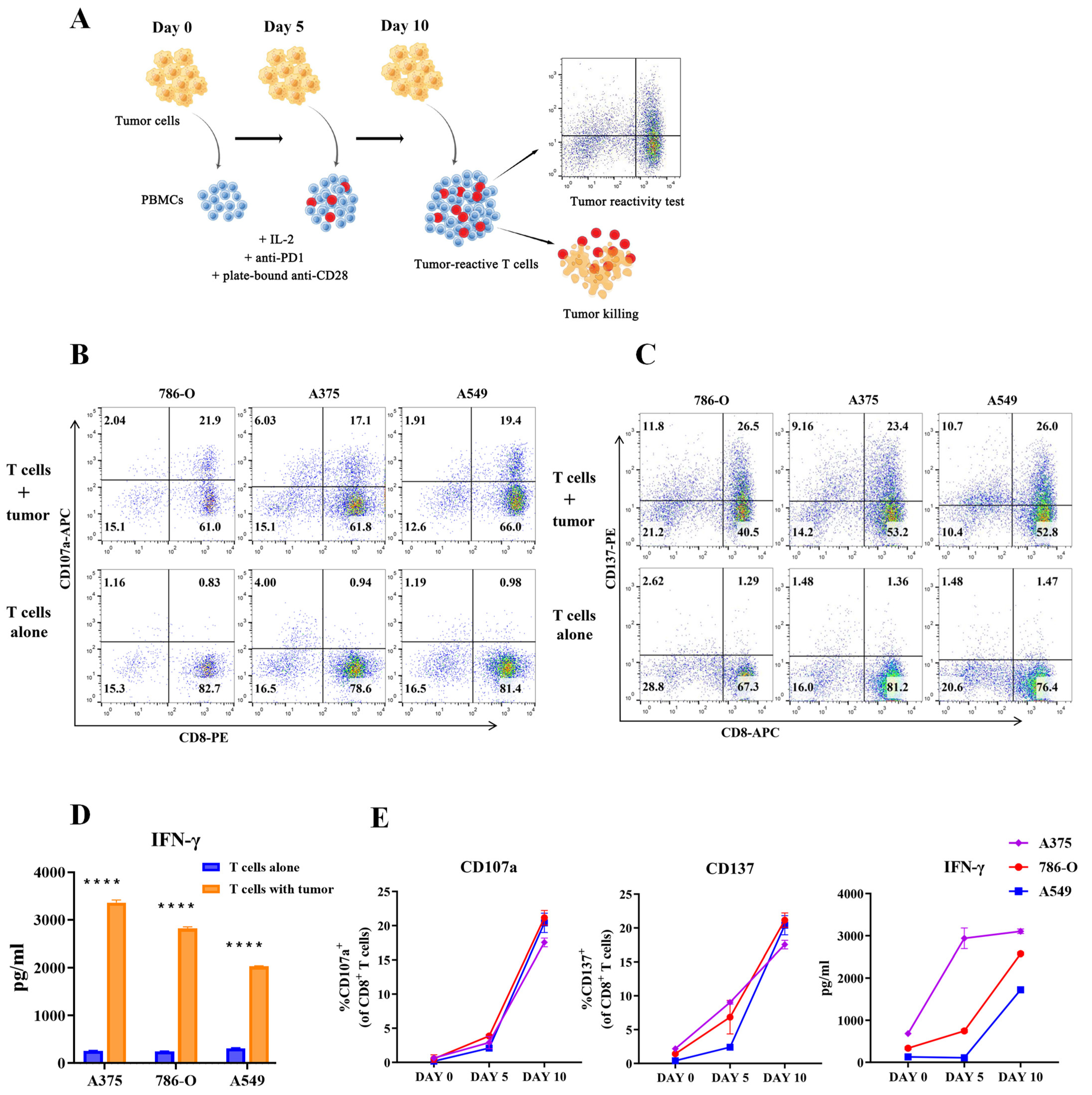 Cancers 15 00251 g005 Cancers 15 00251 g005