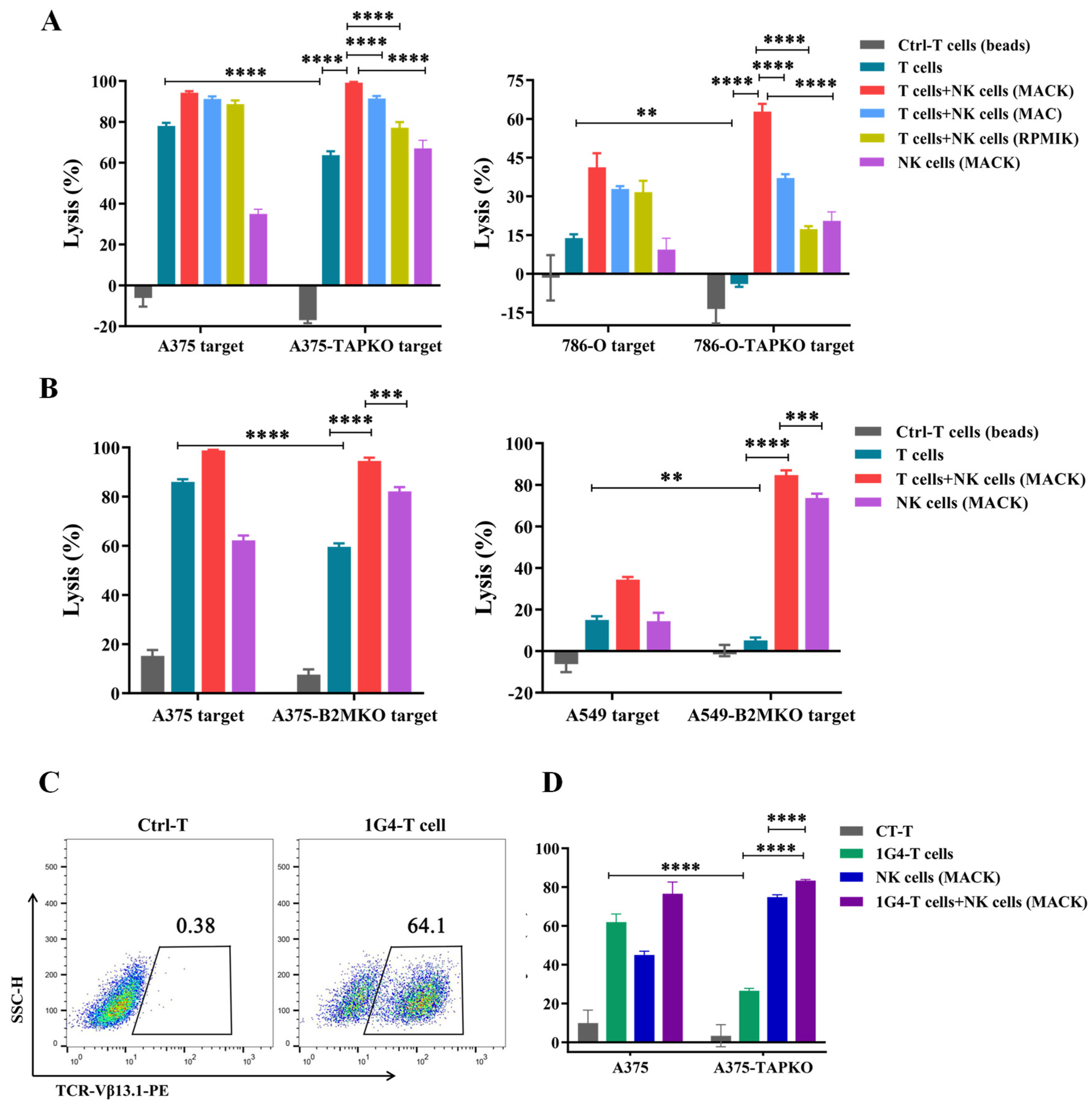 Cancers 15 00251 g006 Cancers 15 00251 g006
