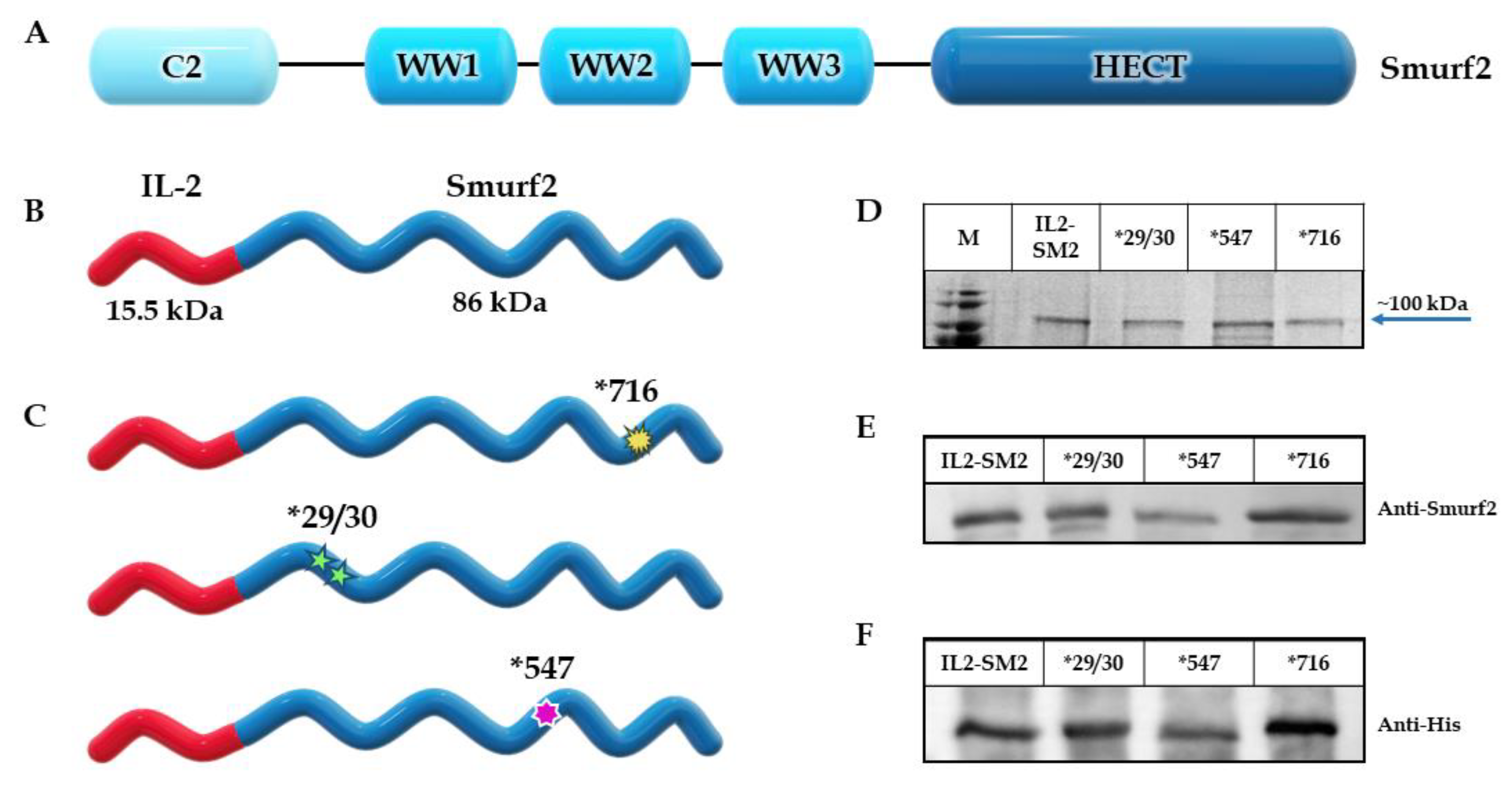 Cancers 15 00256 g001