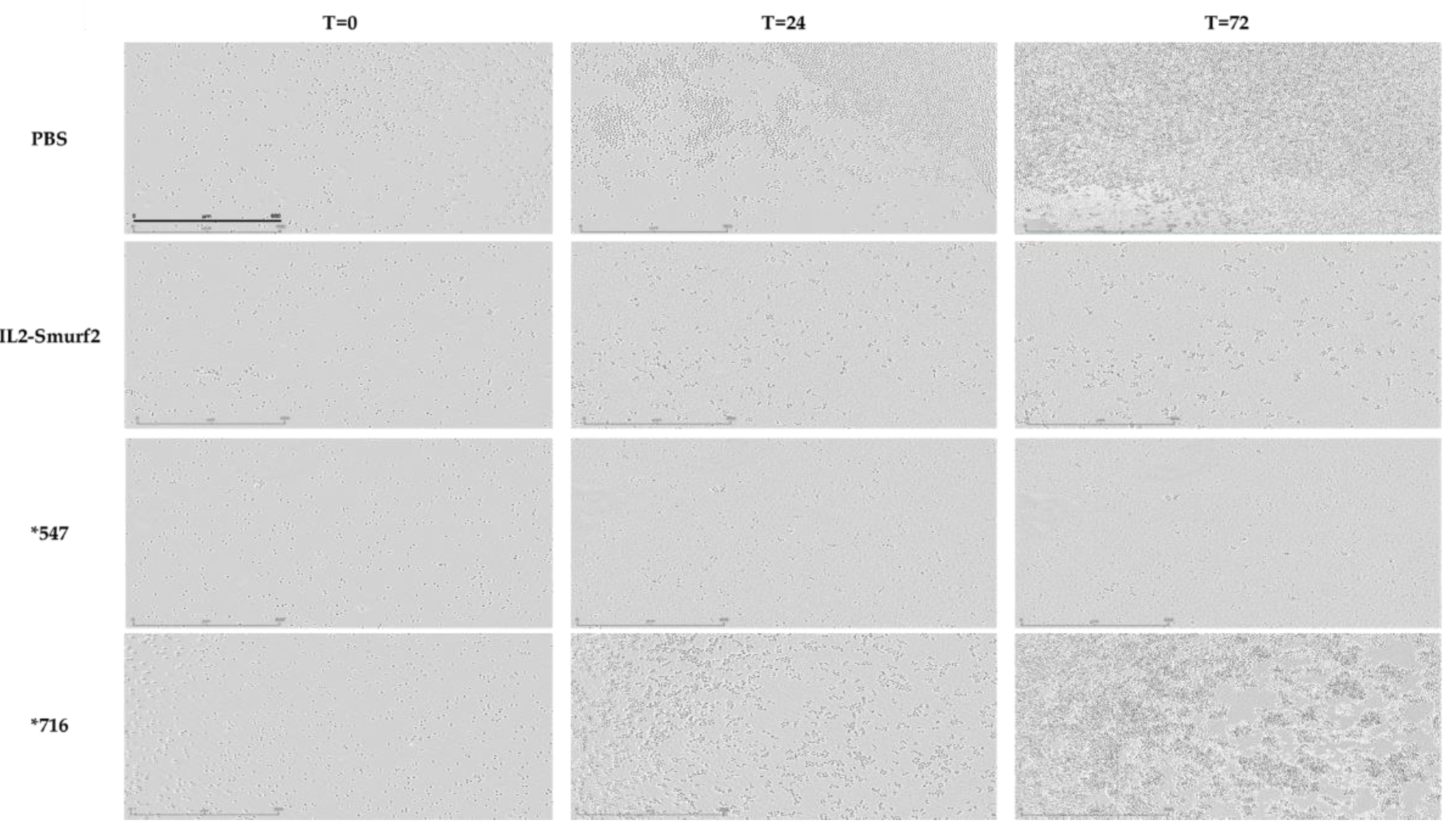 Cancers 15 00256 g008