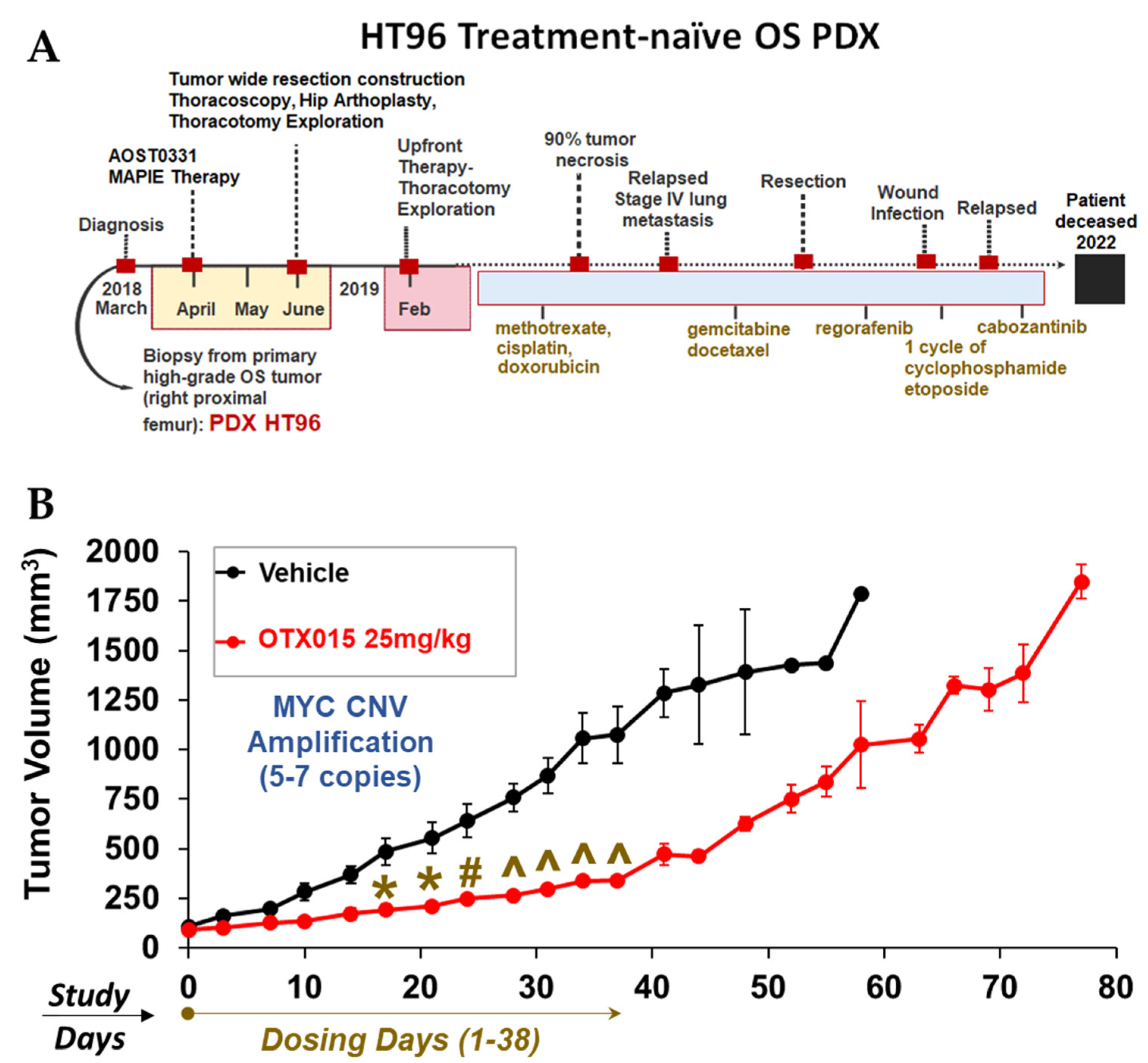 Cancers 15 00259 g017