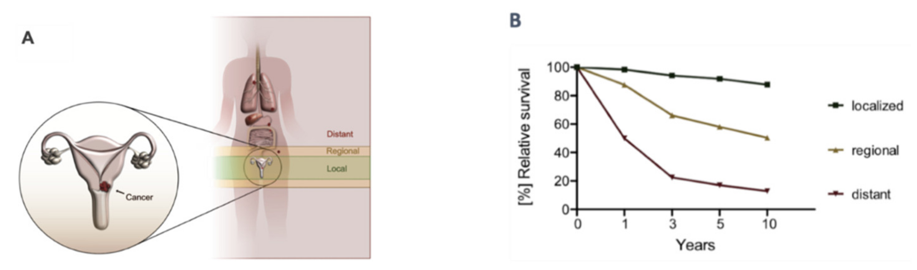 Cancers 15 00263 g001