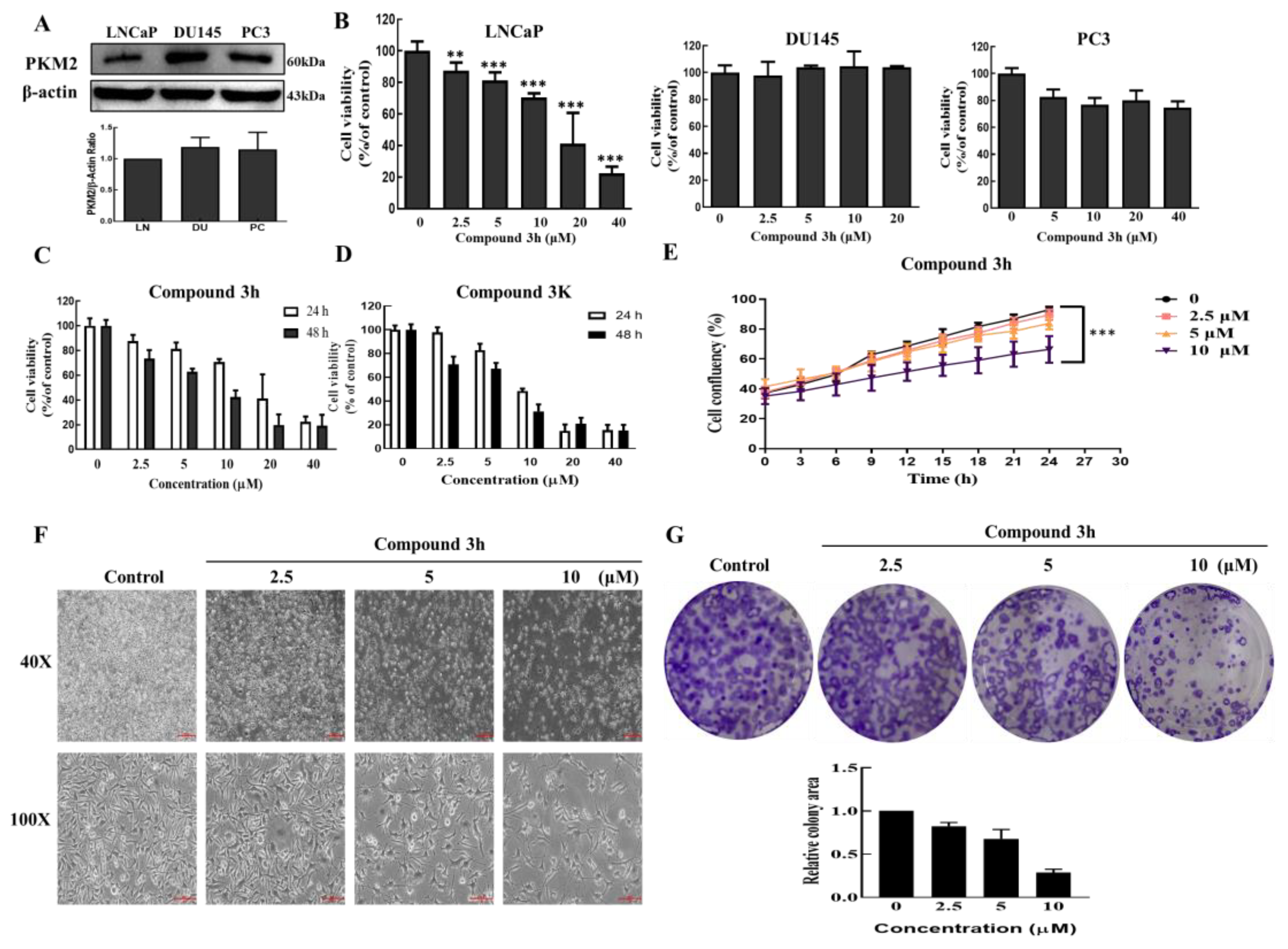 Cancers 15 00265 g003