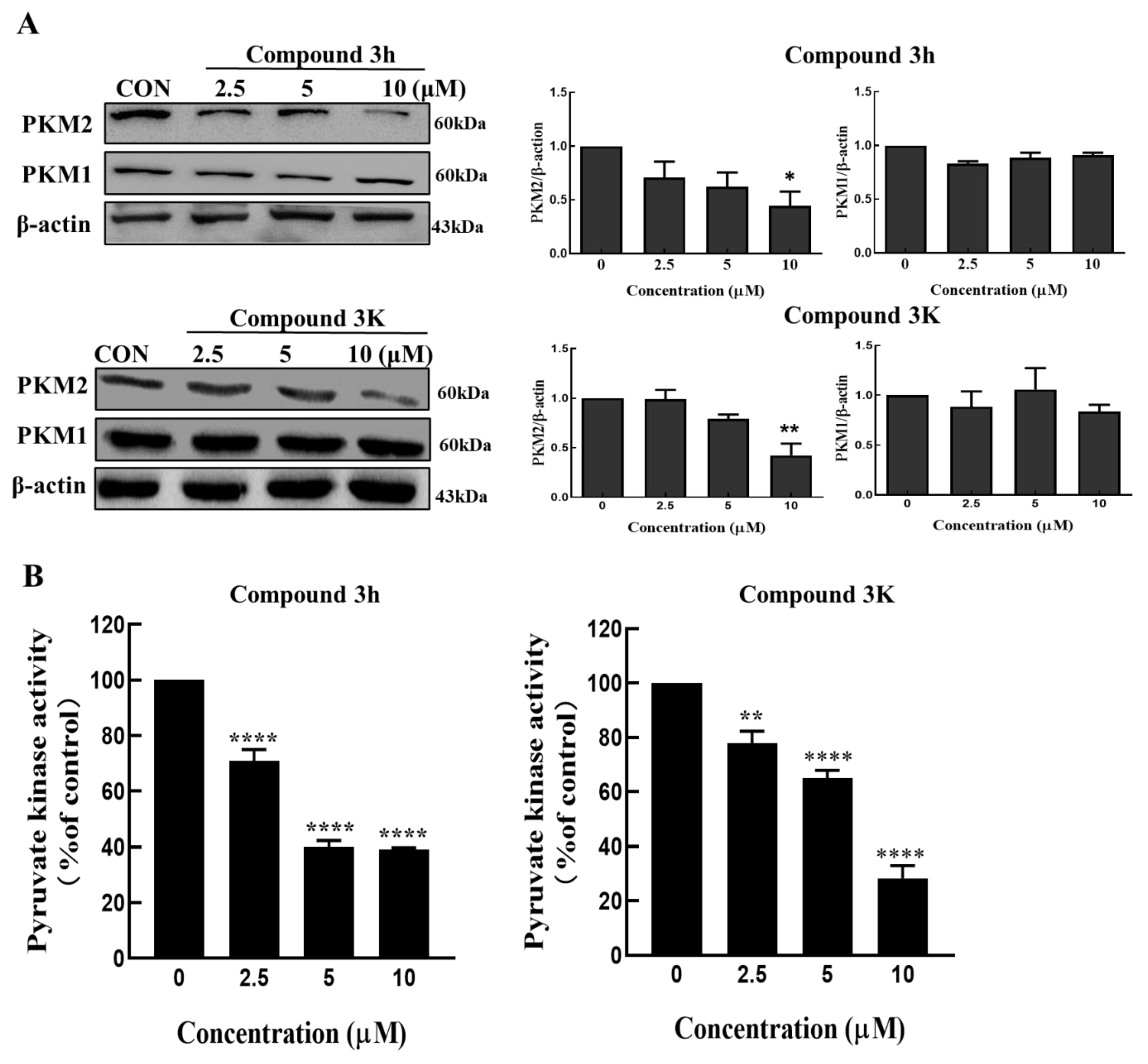 Cancers 15 00265 g004