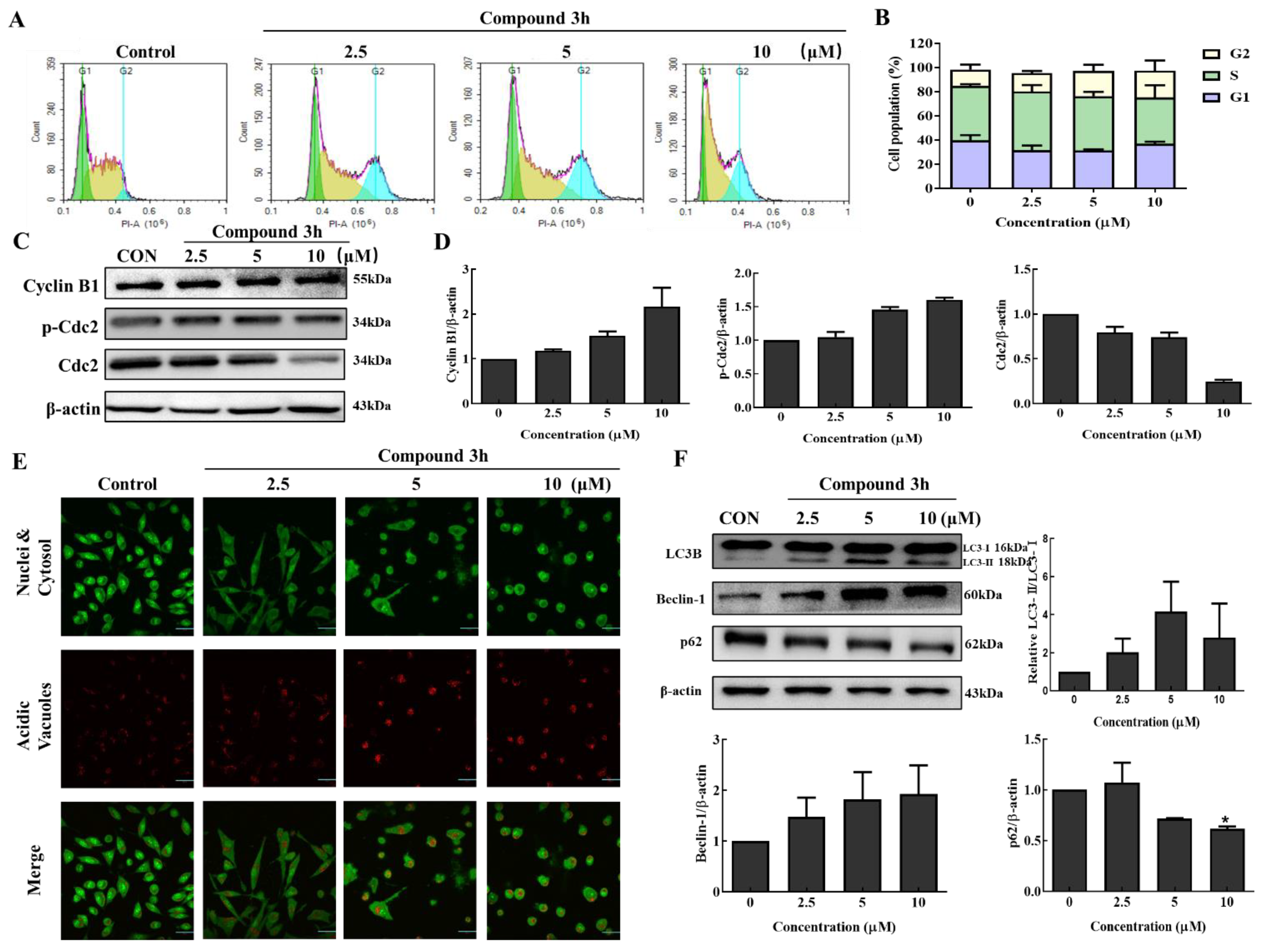 Cancers 15 00265 g007