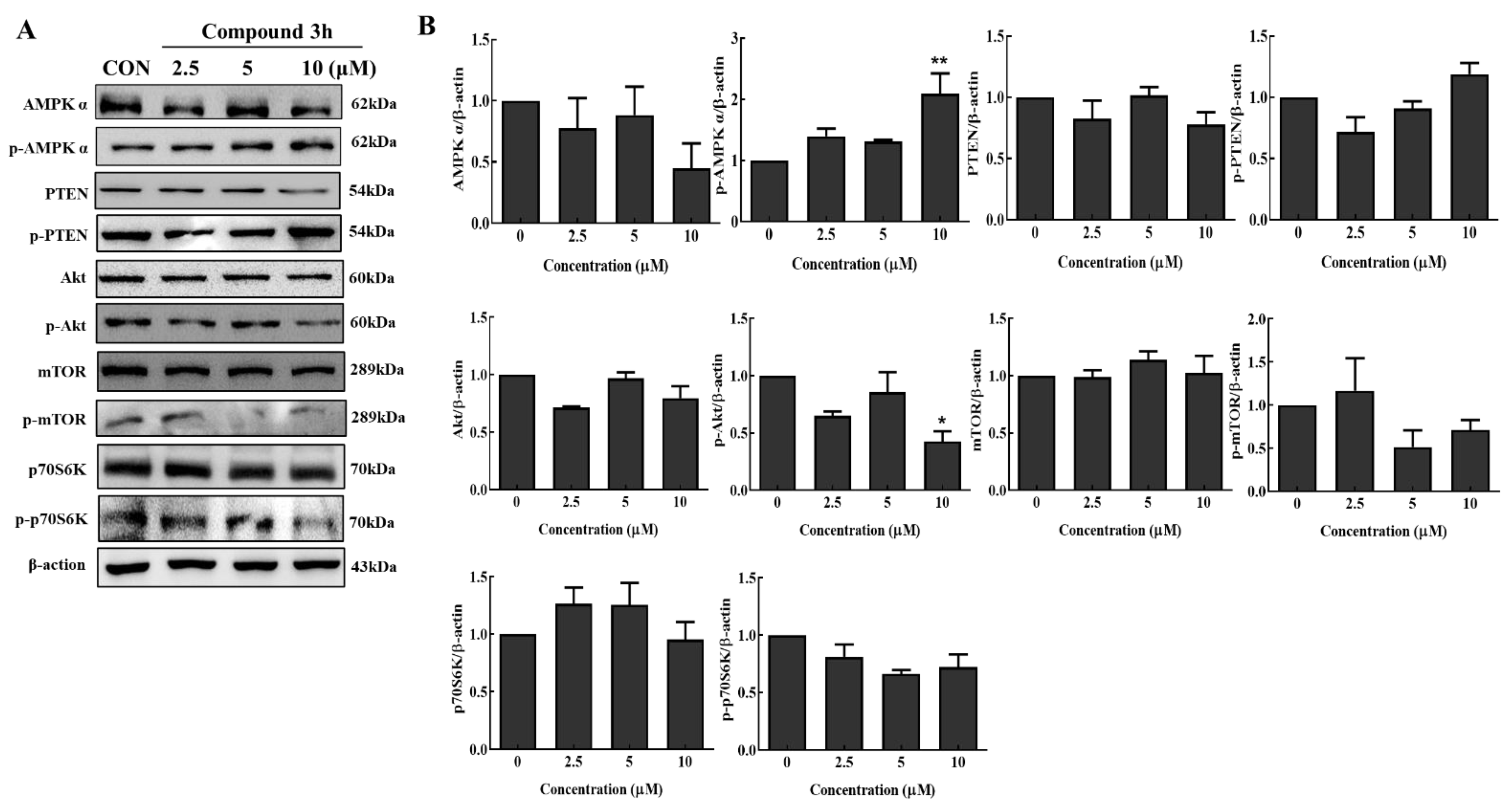 Cancers 15 00265 g008