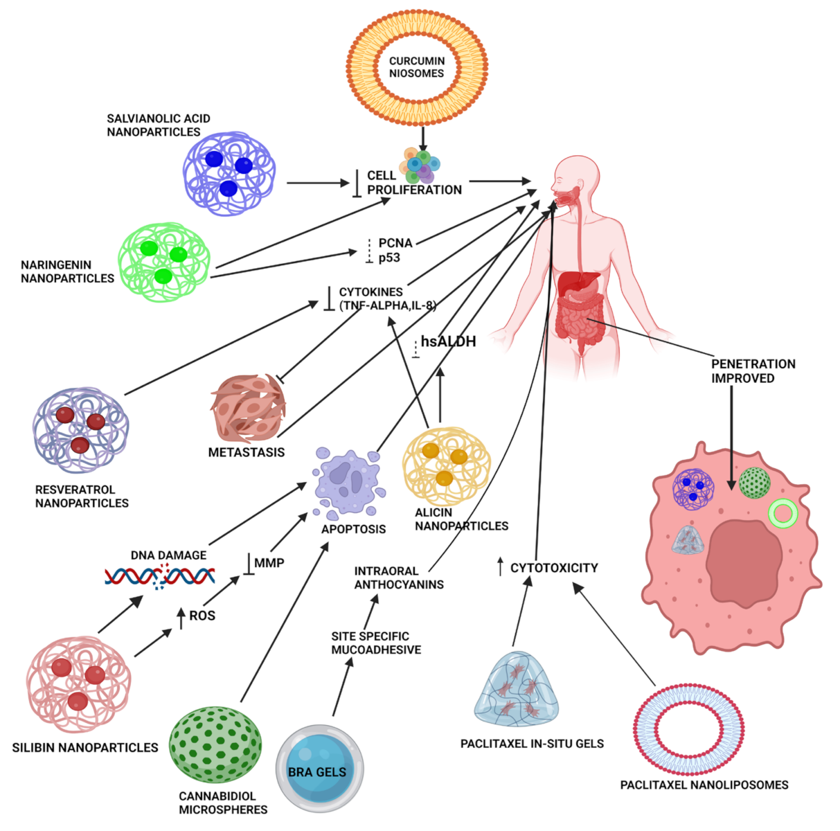 Cancers 15 00268 g003