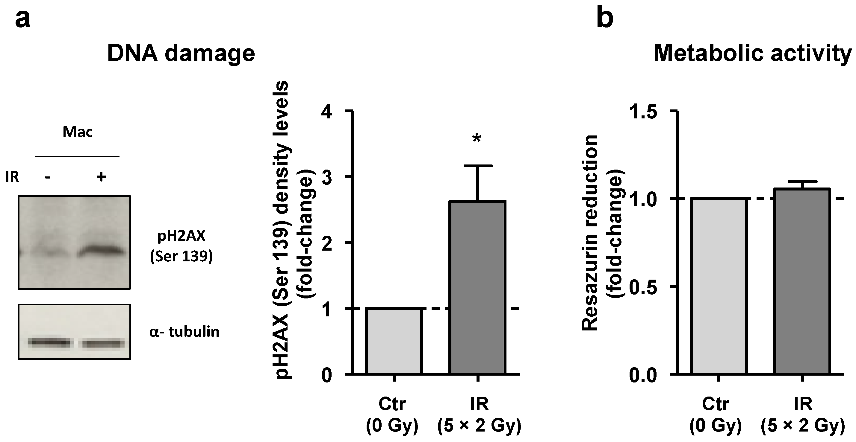 Cancers 15 00270 g001