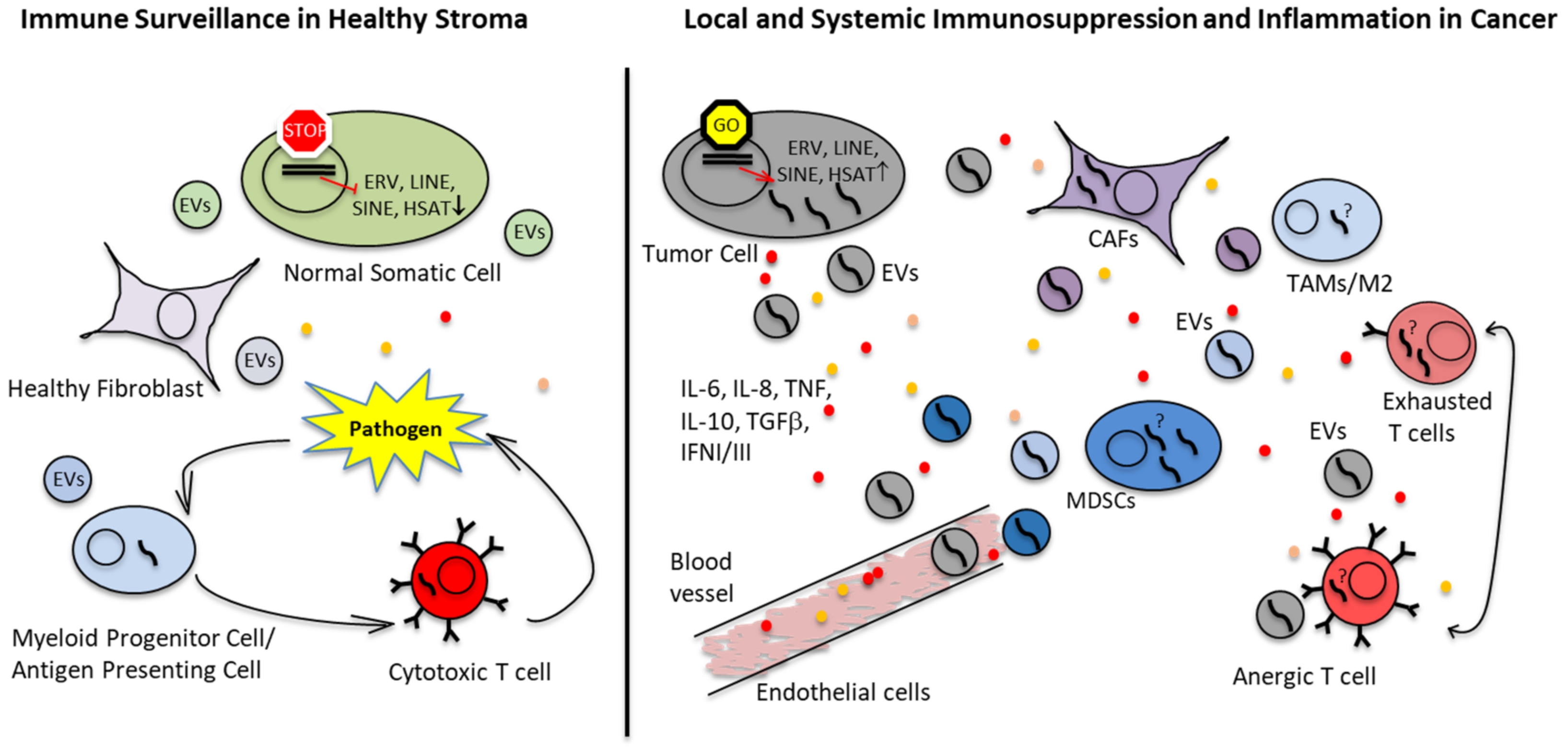 Cancers 15 00272 g002 Cancers 15 00272 g002