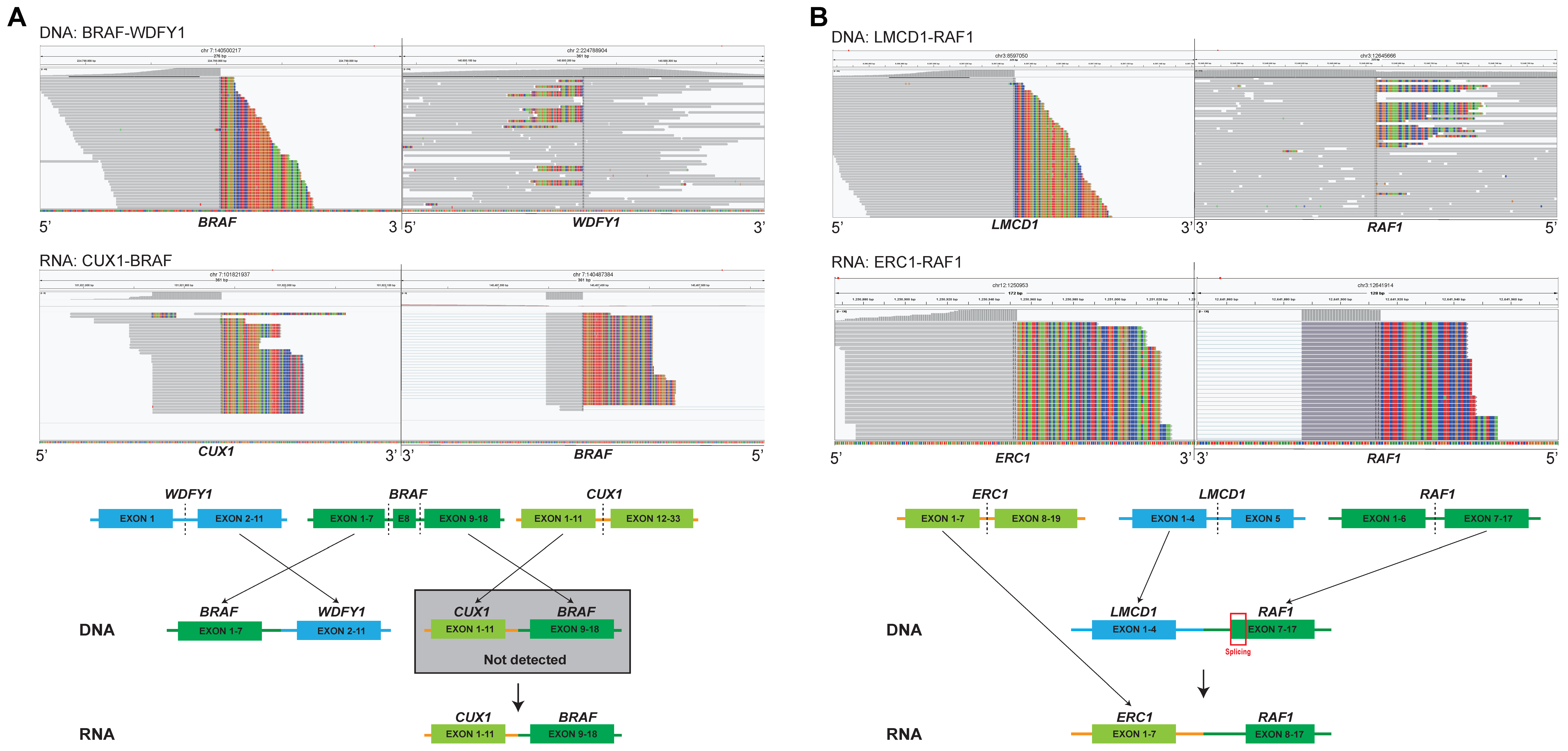 Cancers 15 00283 g004