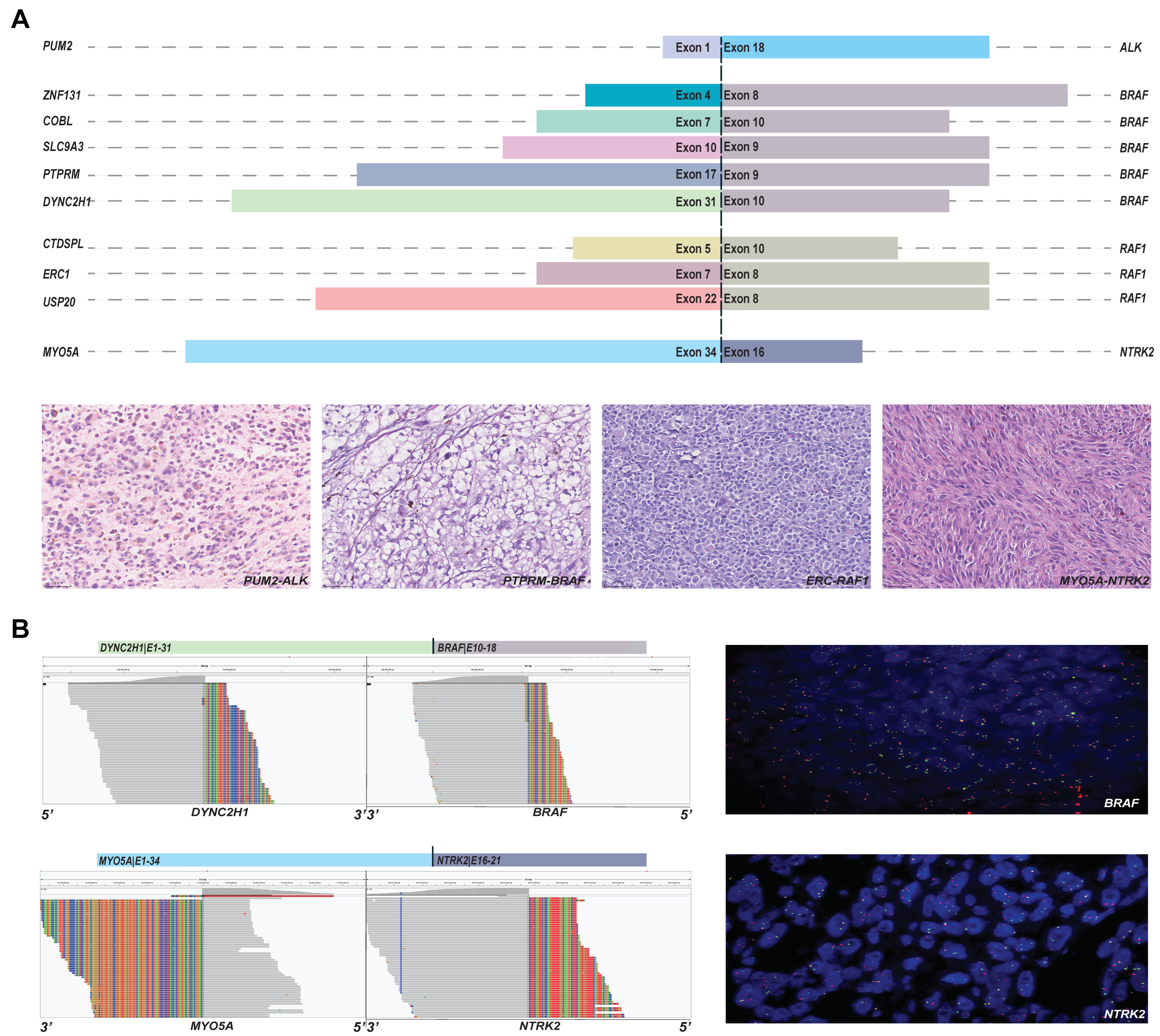 Cancers 15 00283 g005