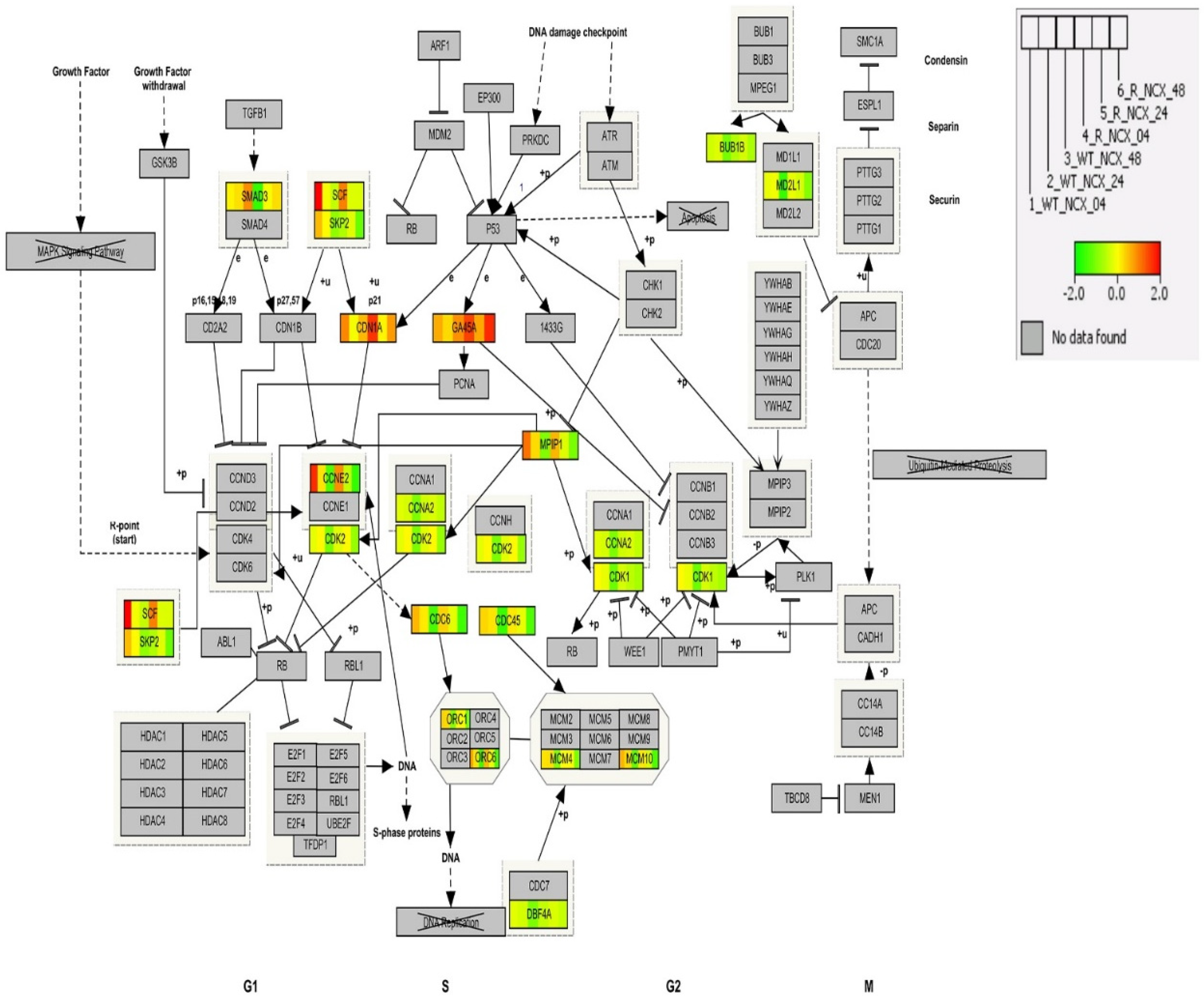 Cancers 15 00285 g006