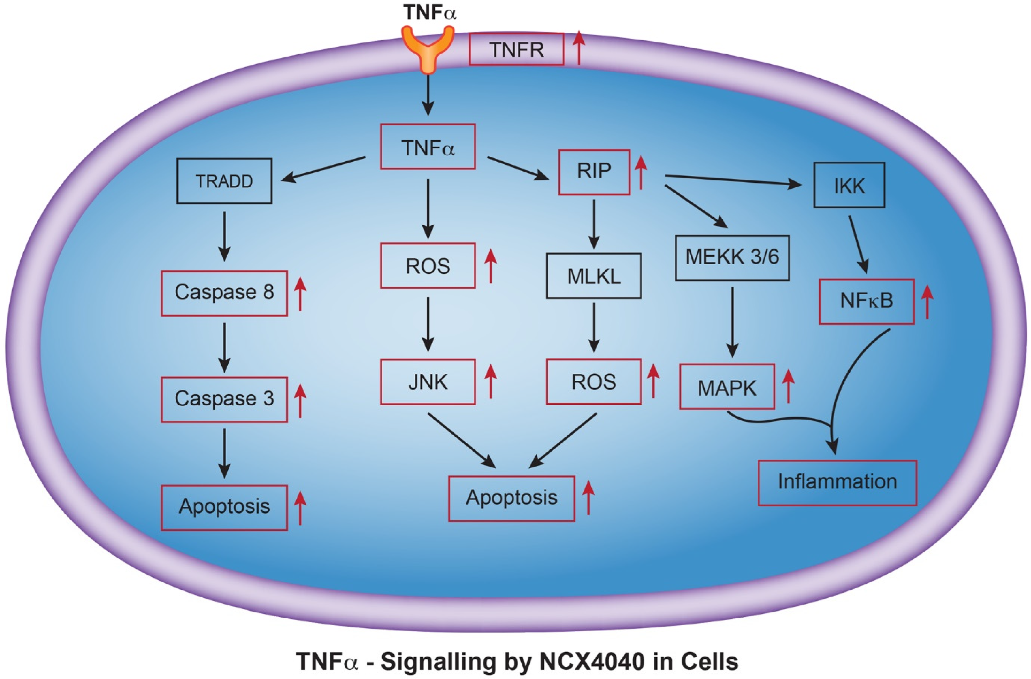 Cancers 15 00285 g007