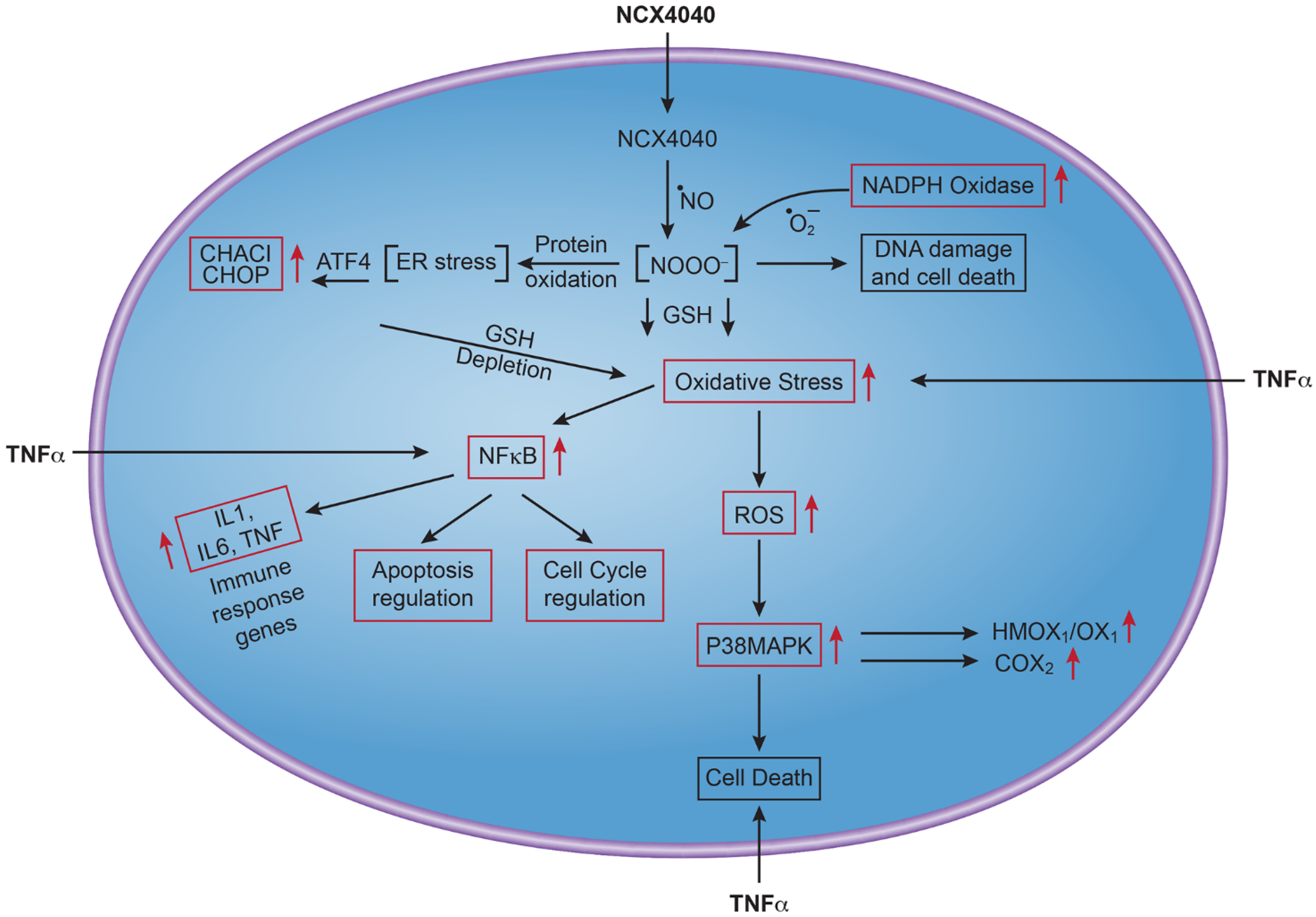 Cancers 15 00285 g008