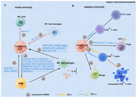 Decoding Roles of Exosomal lncRNAs in Tumor-Immune