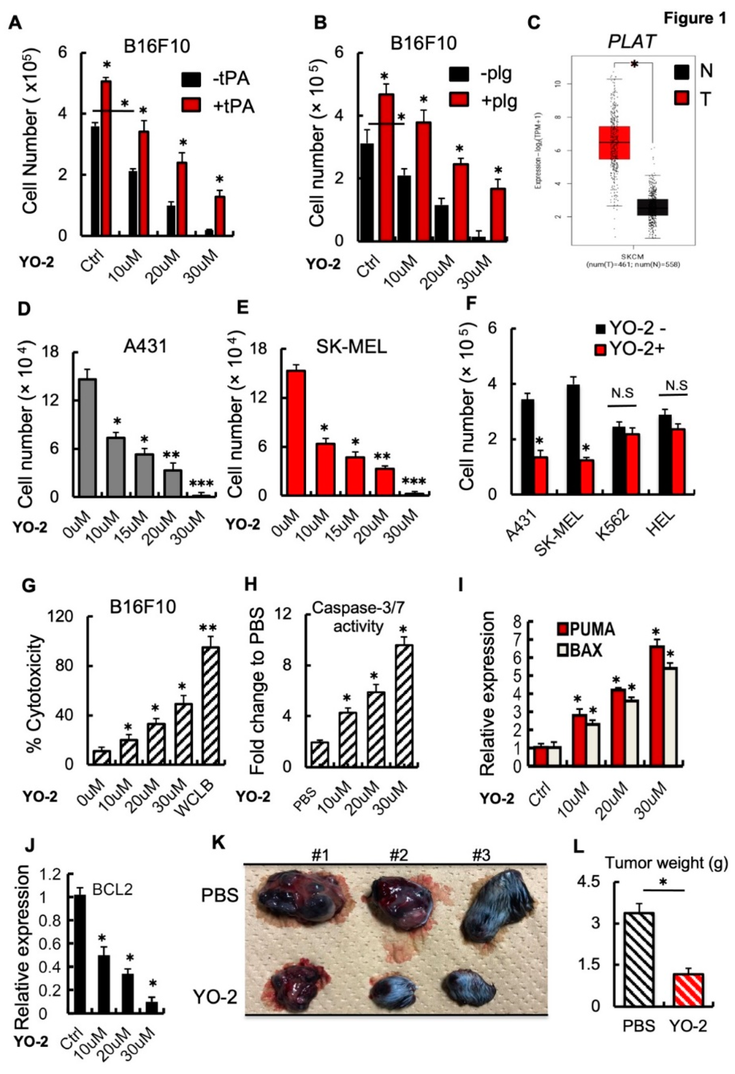 Cancers 15 00288 g001 Cancers 15 00288 g001