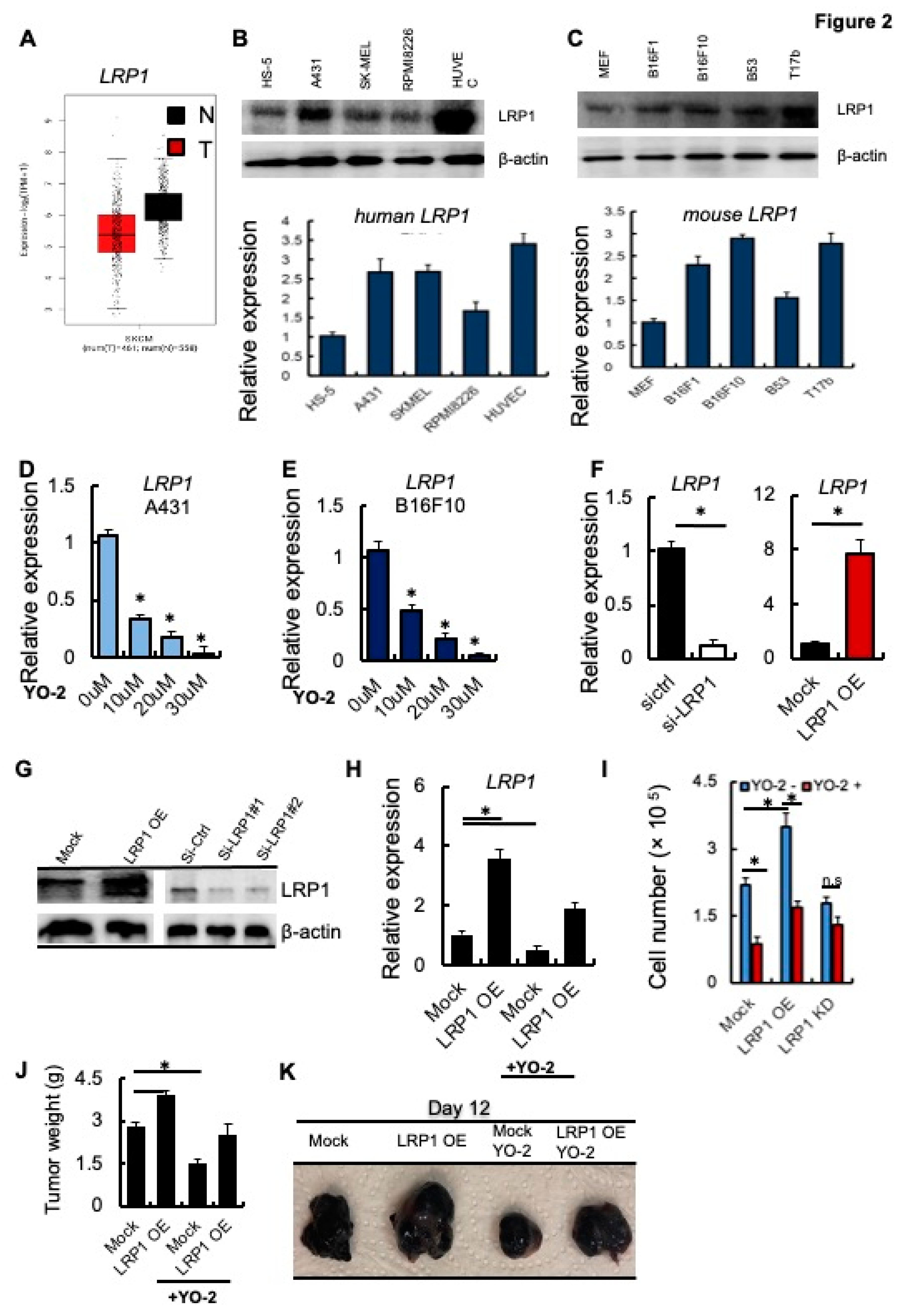 Cancers 15 00288 g002 Cancers 15 00288 g002