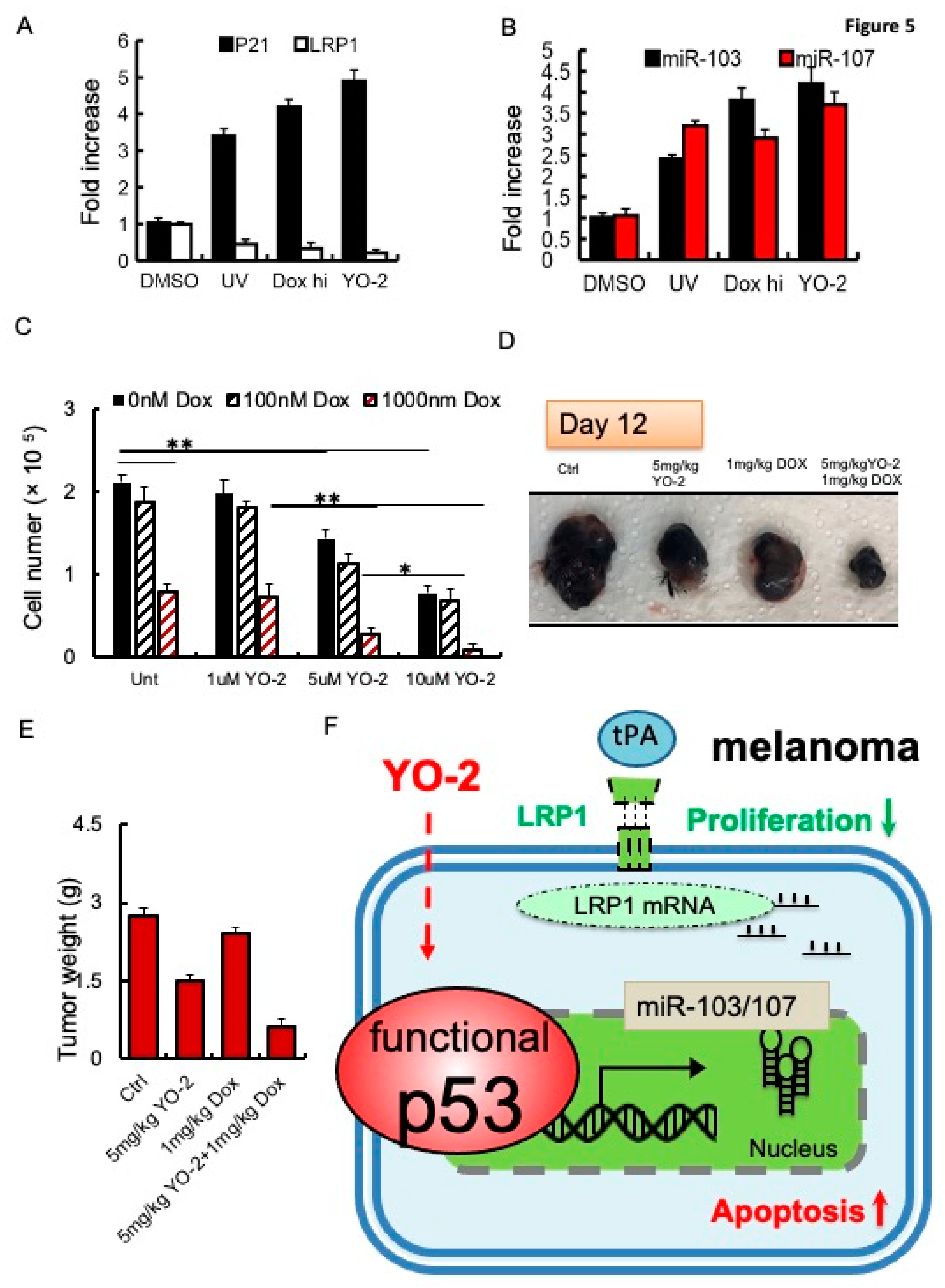 Cancers 15 00288 g005 Cancers 15 00288 g005