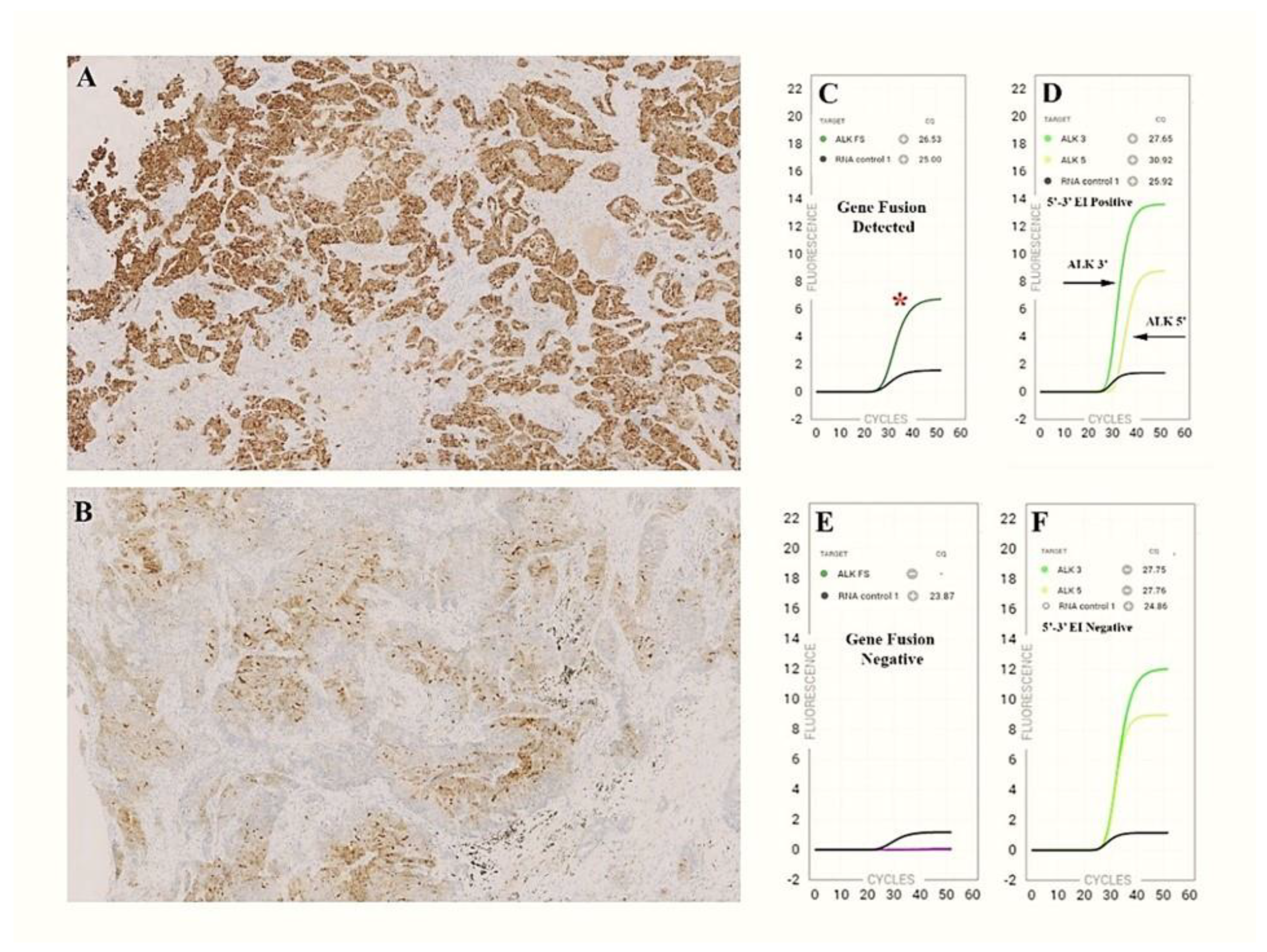 Cancers 15 00292 g001 Cancers 15 00292 g001