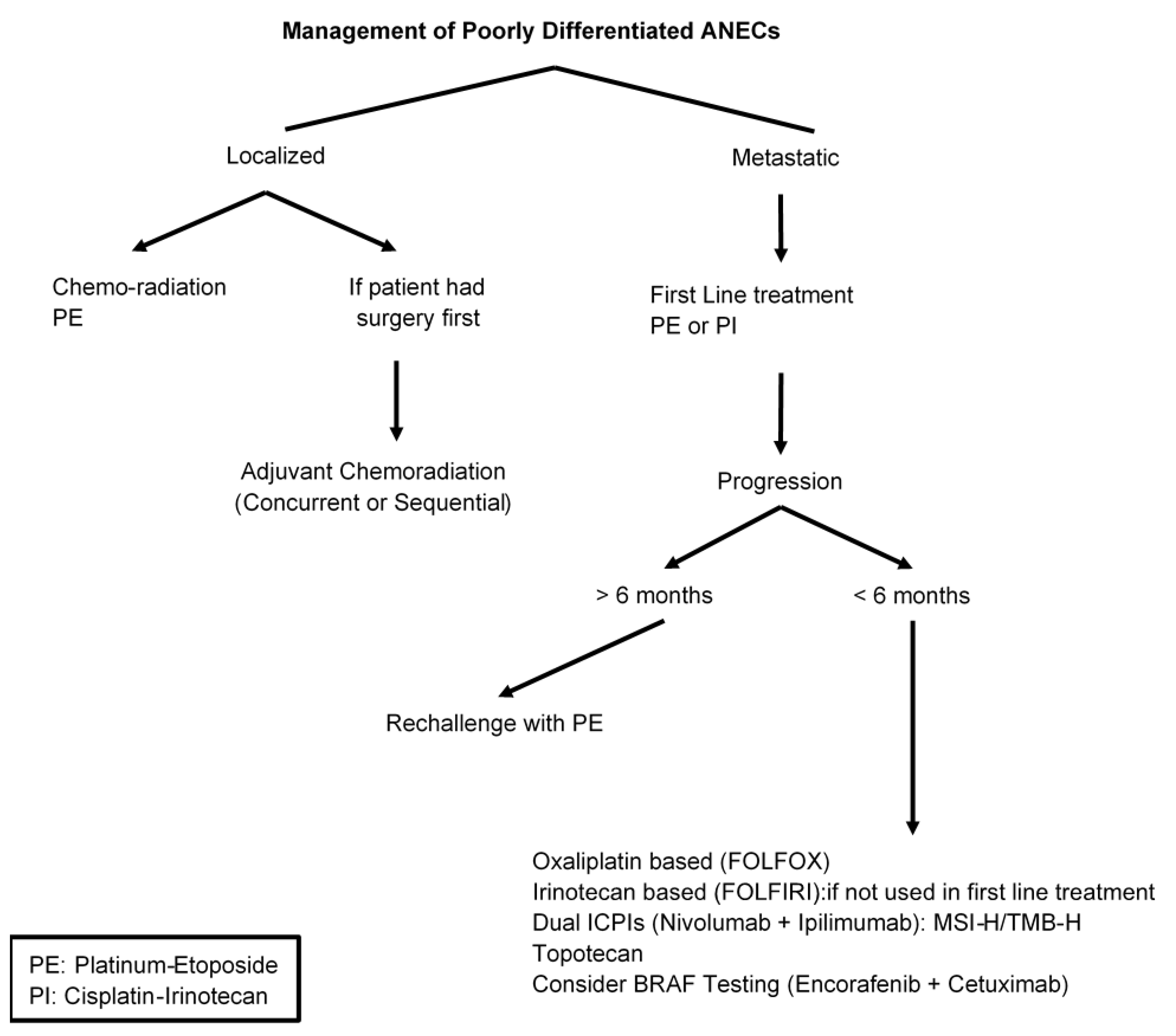 Cancers Free FullText Management of Appendix Neuroendocrine Neoplasms Insights on the