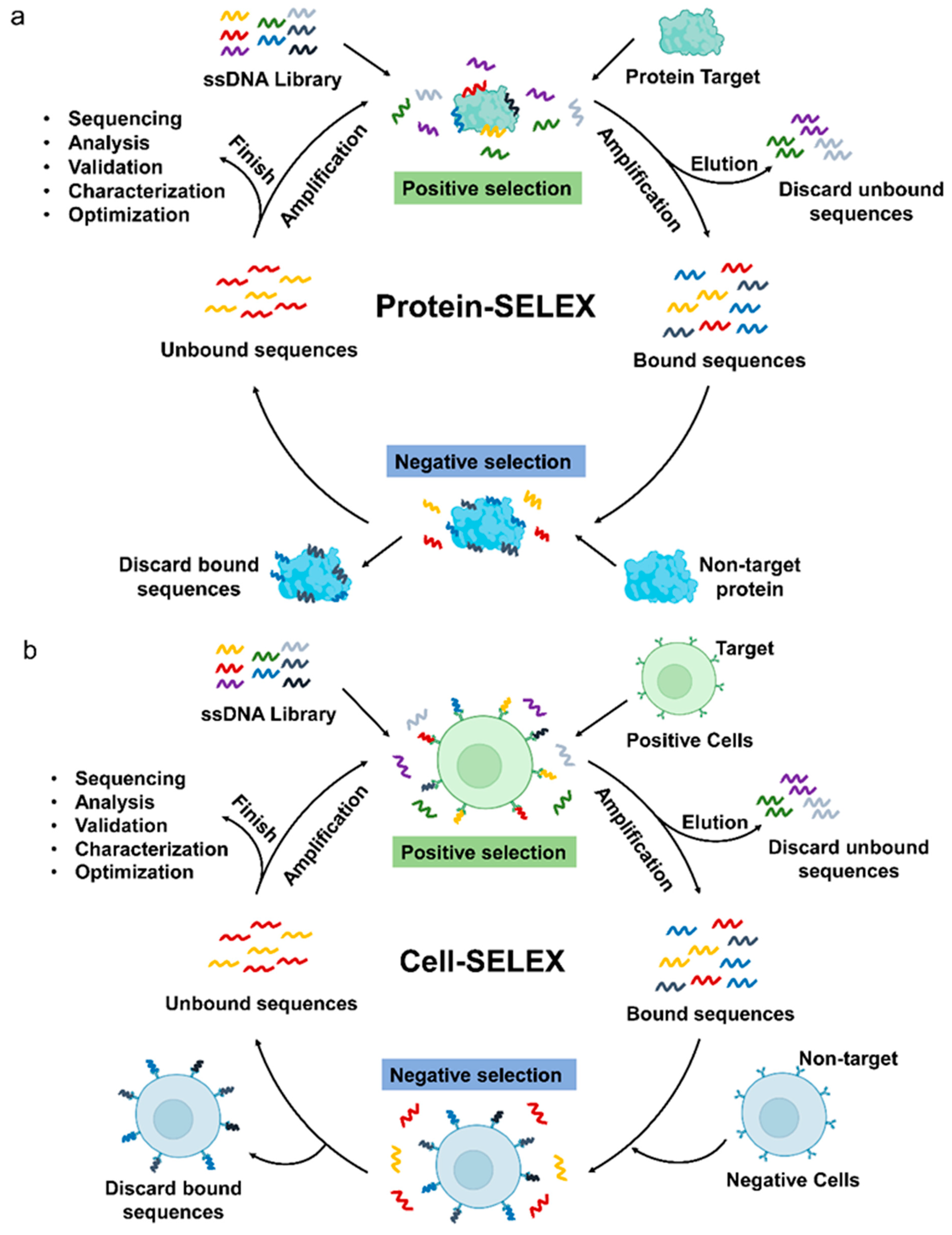 Cancers 15 00300 g001
