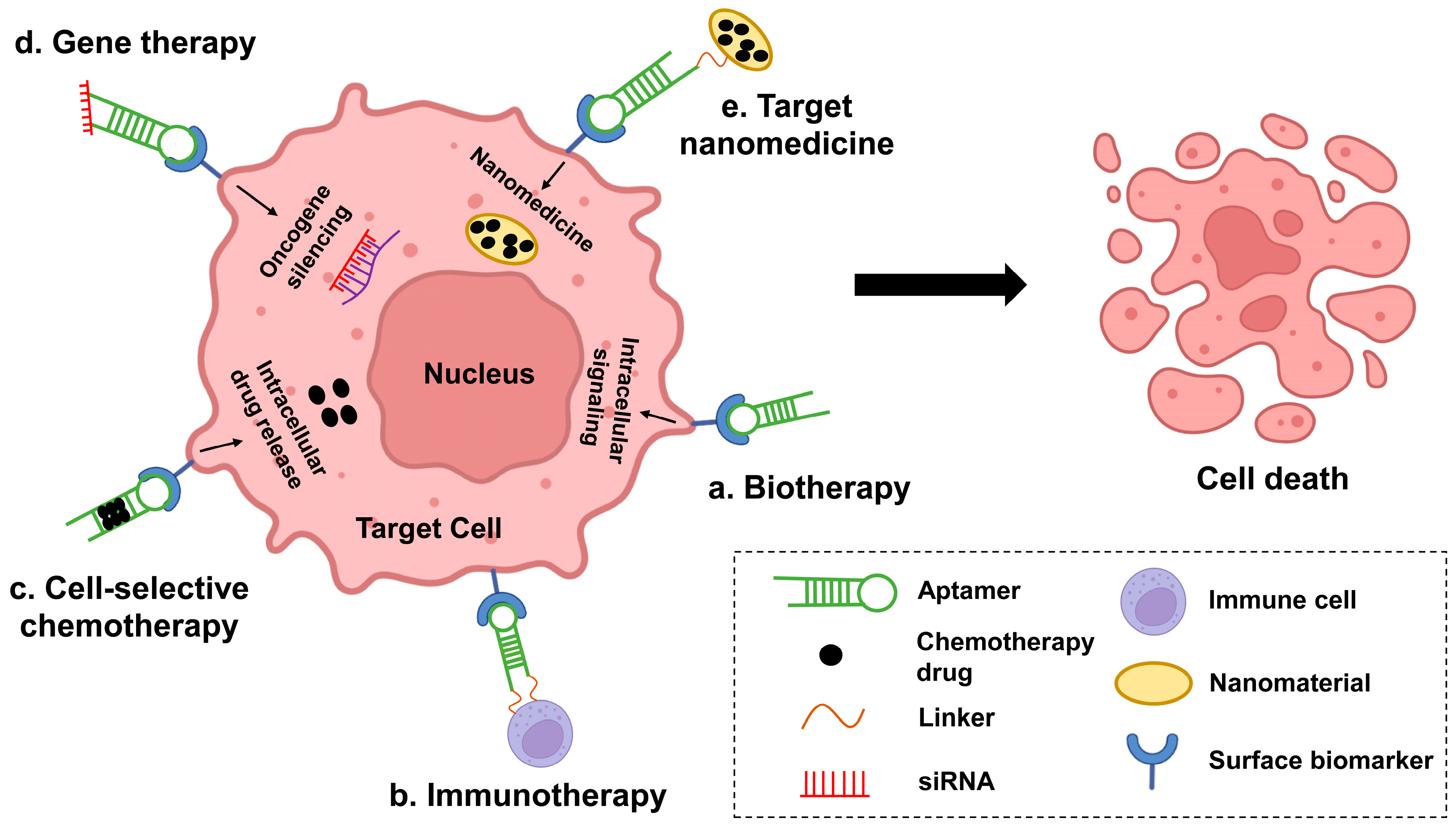 Cancers 15 00300 g002