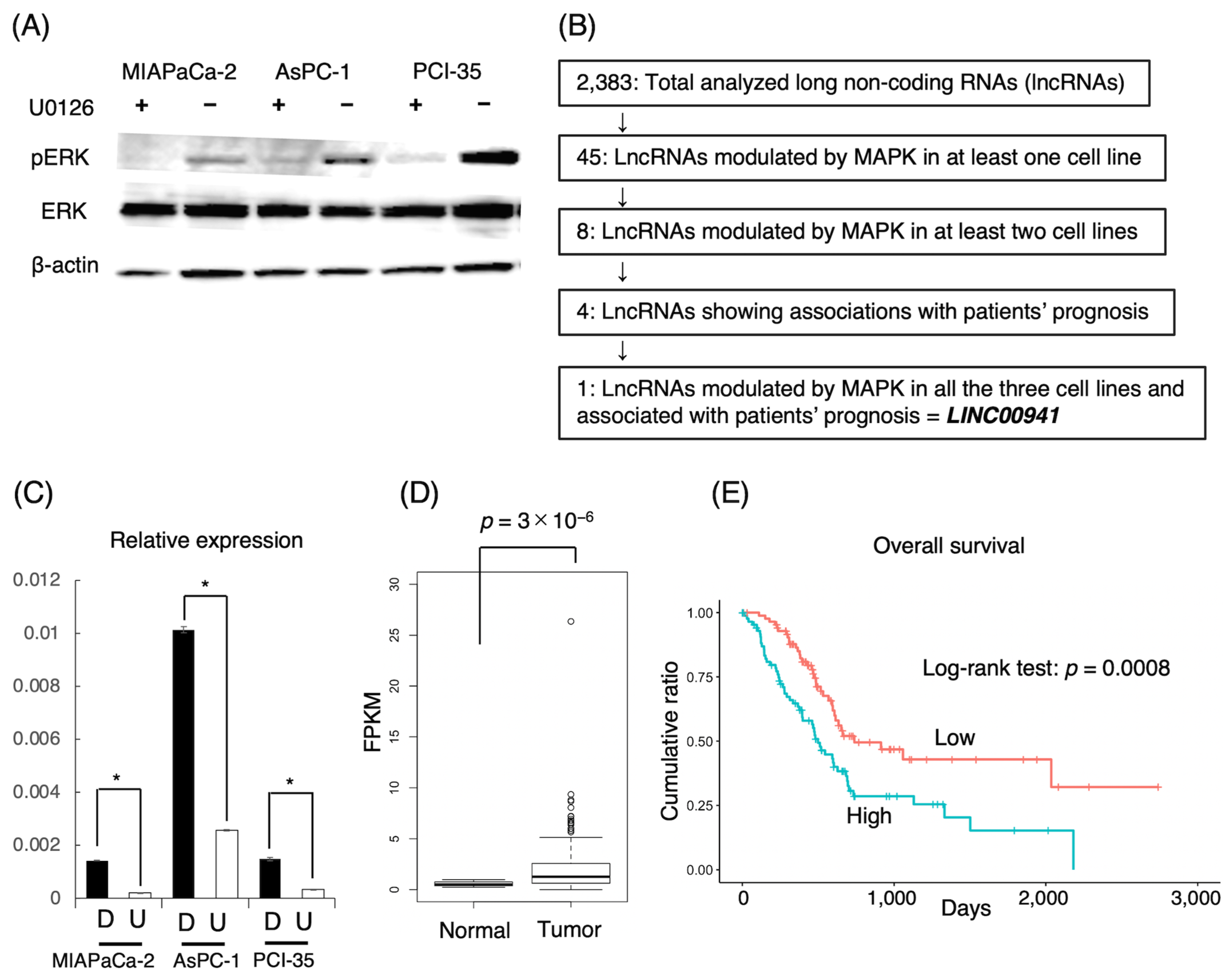 Cancers 15 00303 g001 Cancers 15 00303 g001