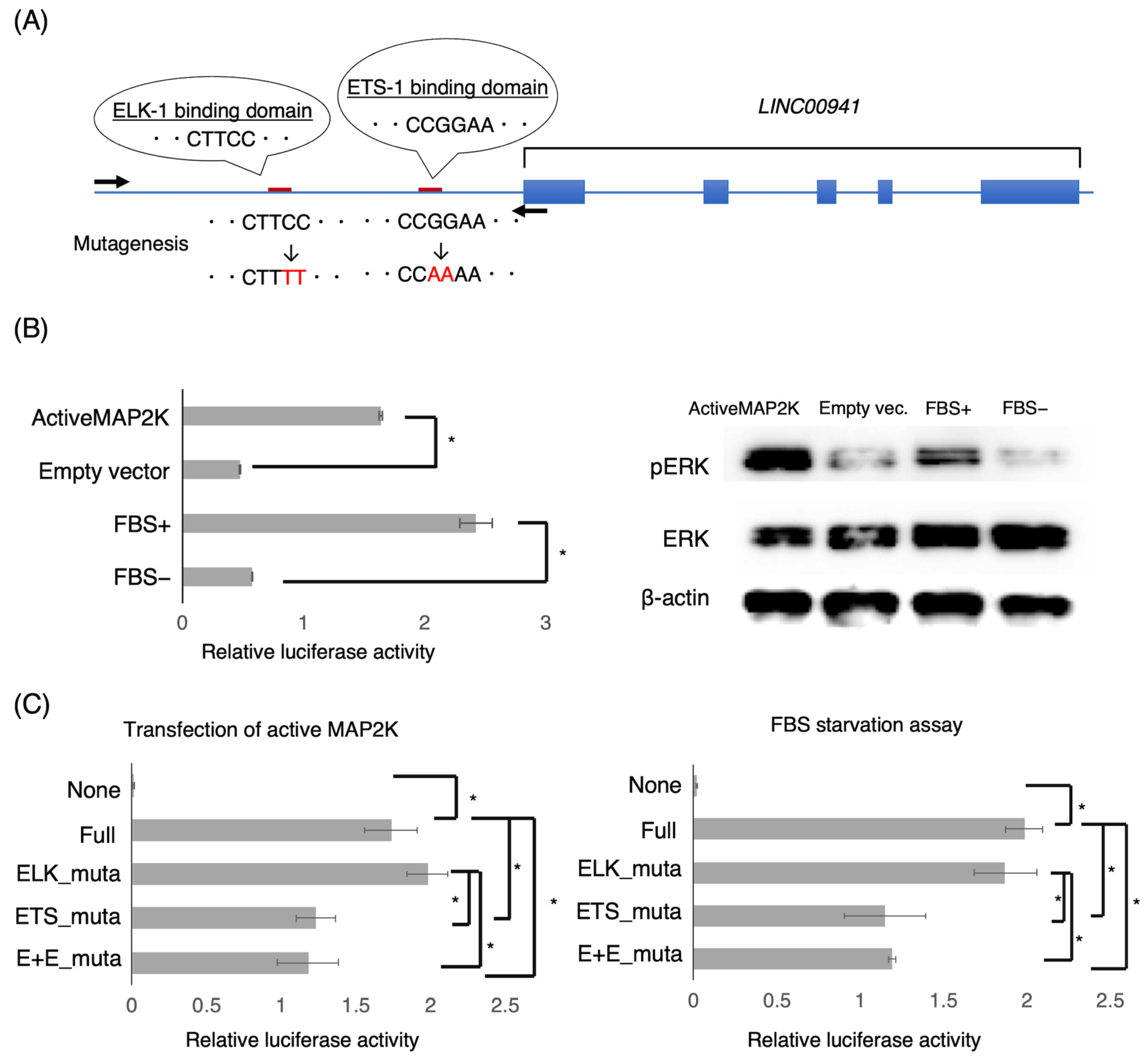 Cancers 15 00303 g002 Cancers 15 00303 g002