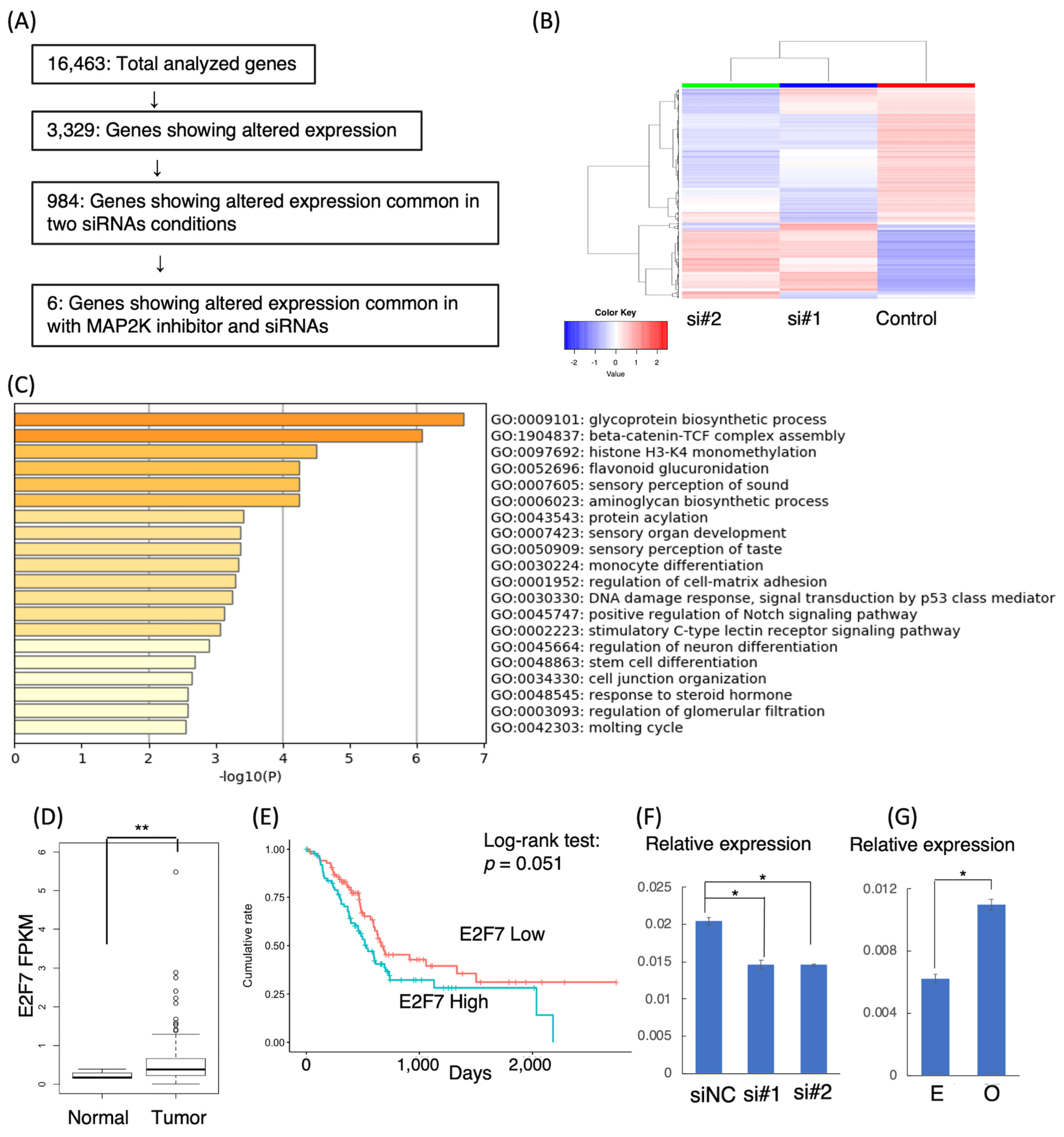 Cancers 15 00303 g004 Cancers 15 00303 g004