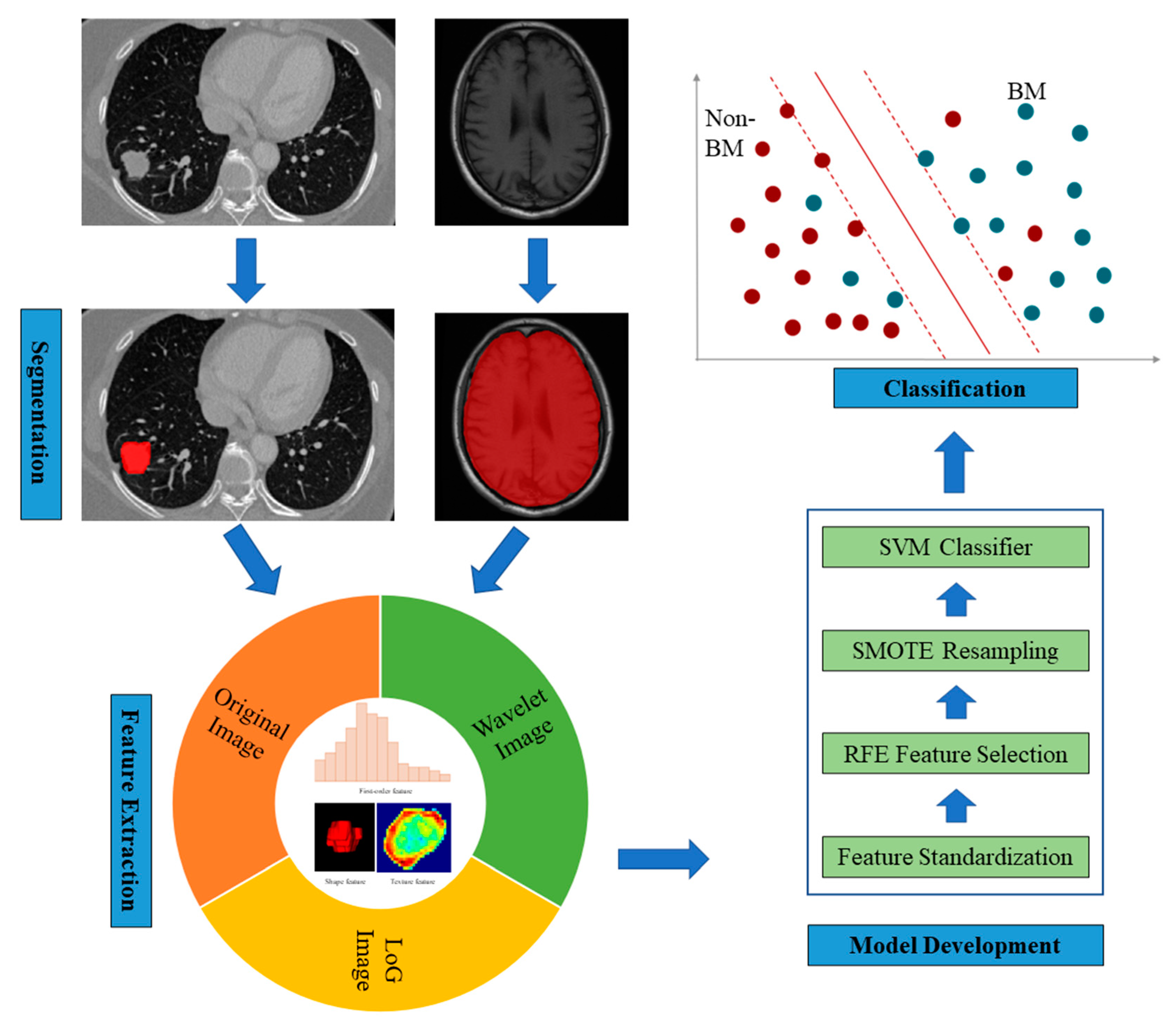 Cancers 15 00307 g001