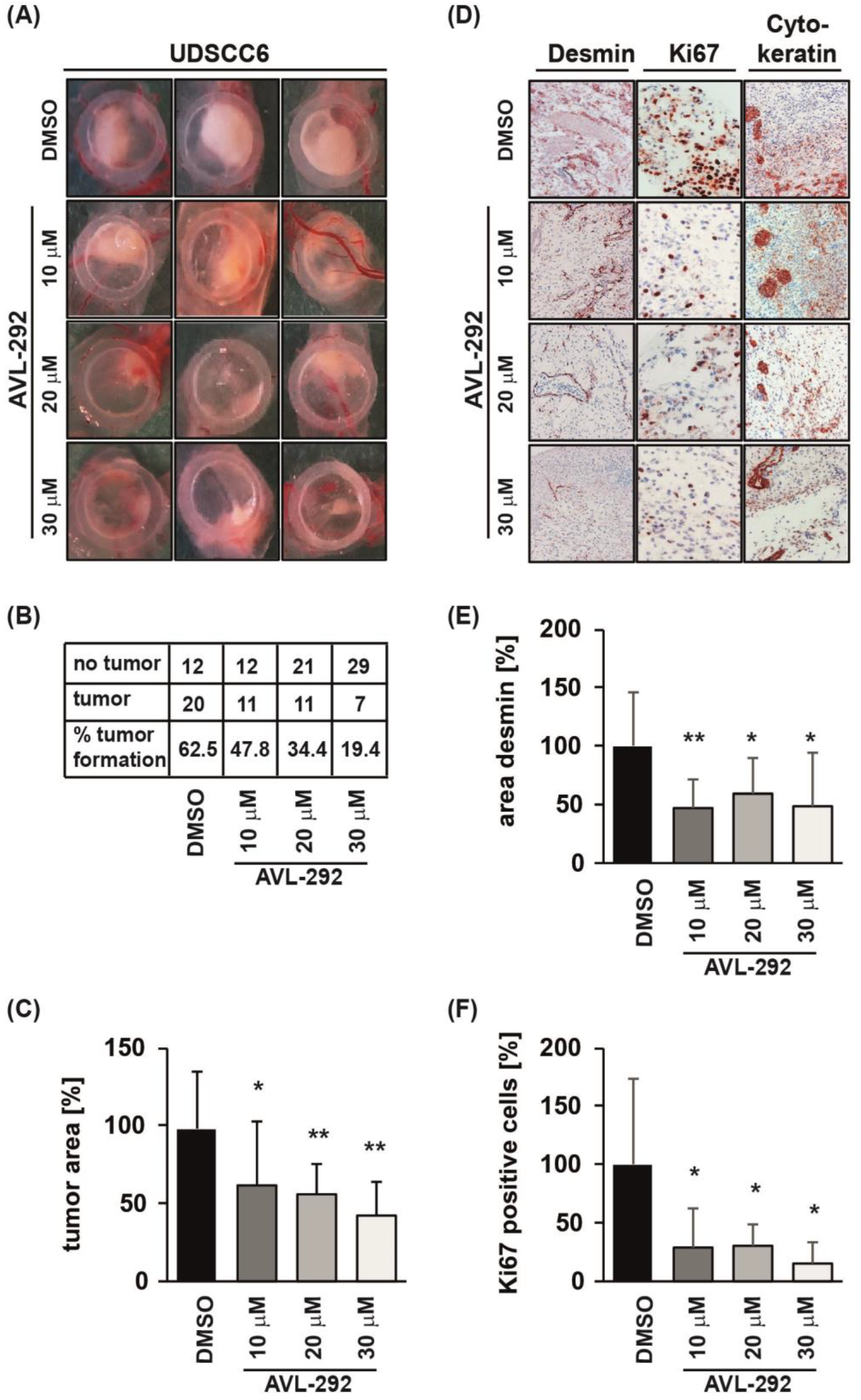 Cancers 15 00310 g004