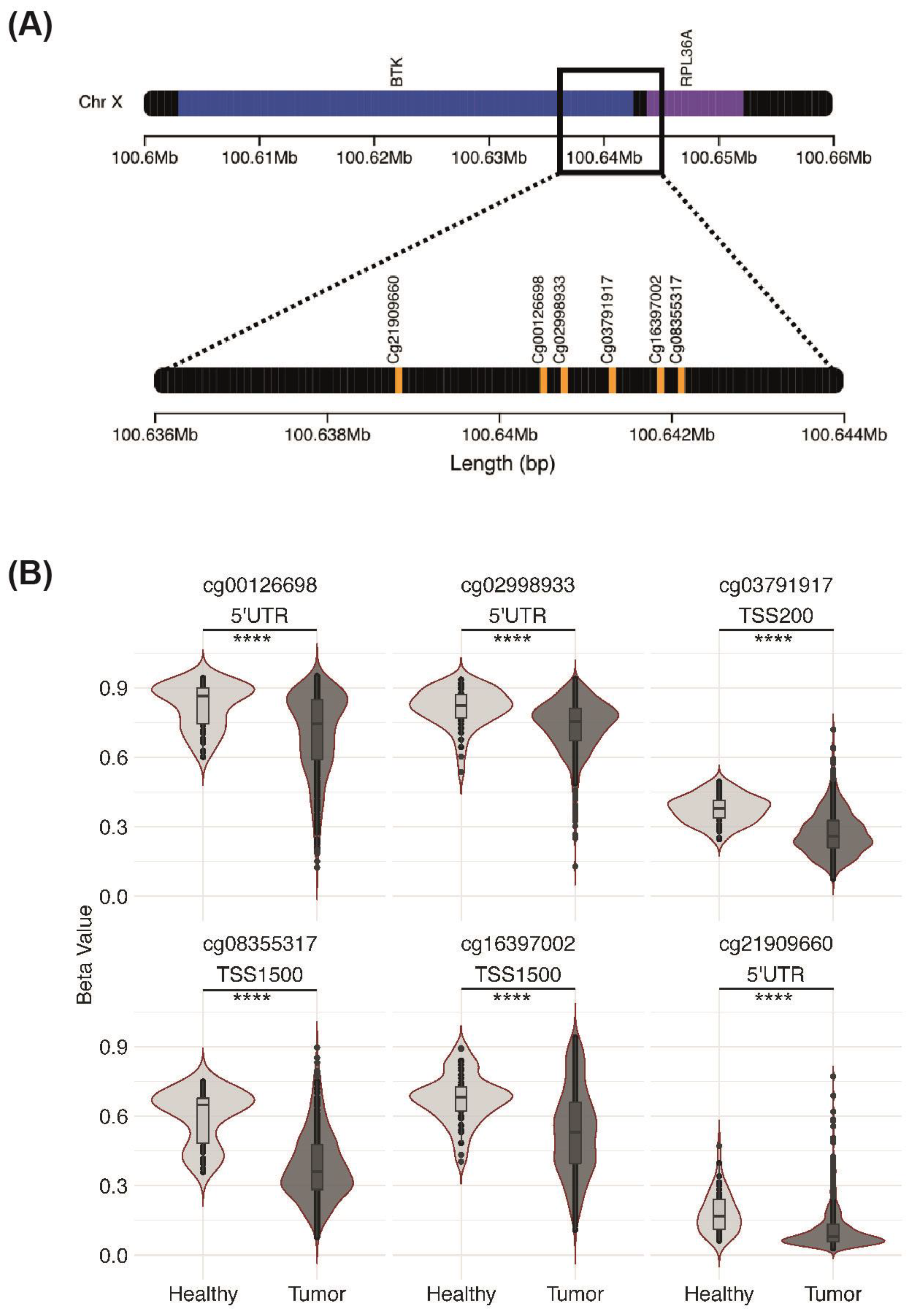 Cancers 15 00310 g006