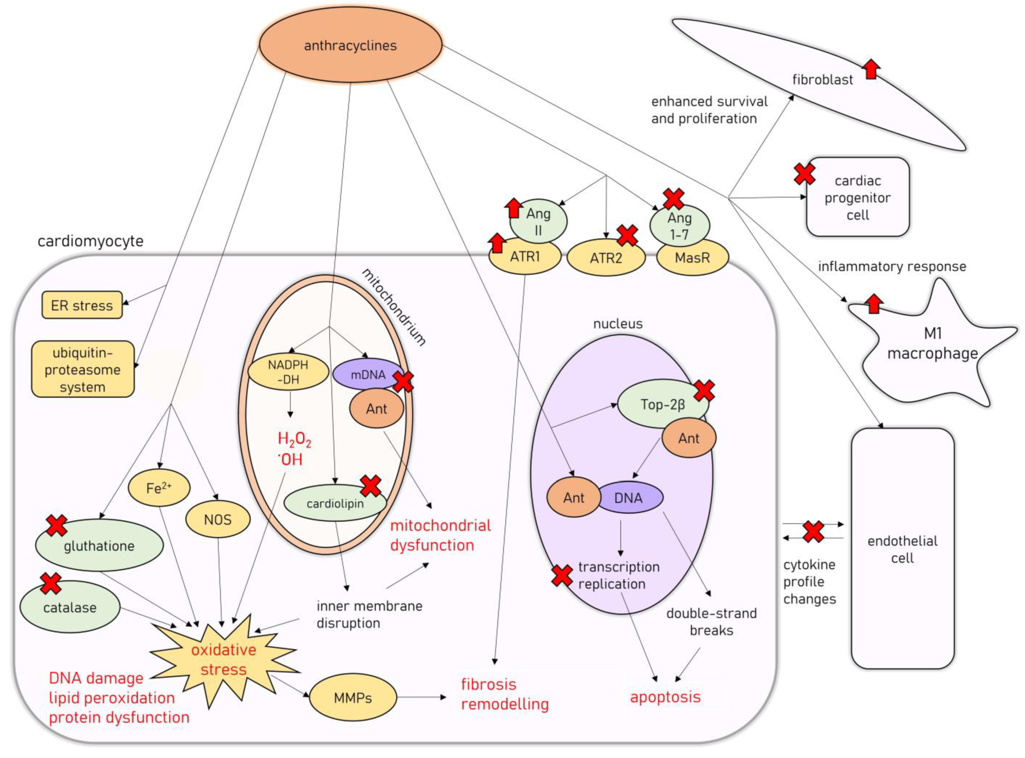 Cancers 15 00312 g001 Cancers 15 00312 g001