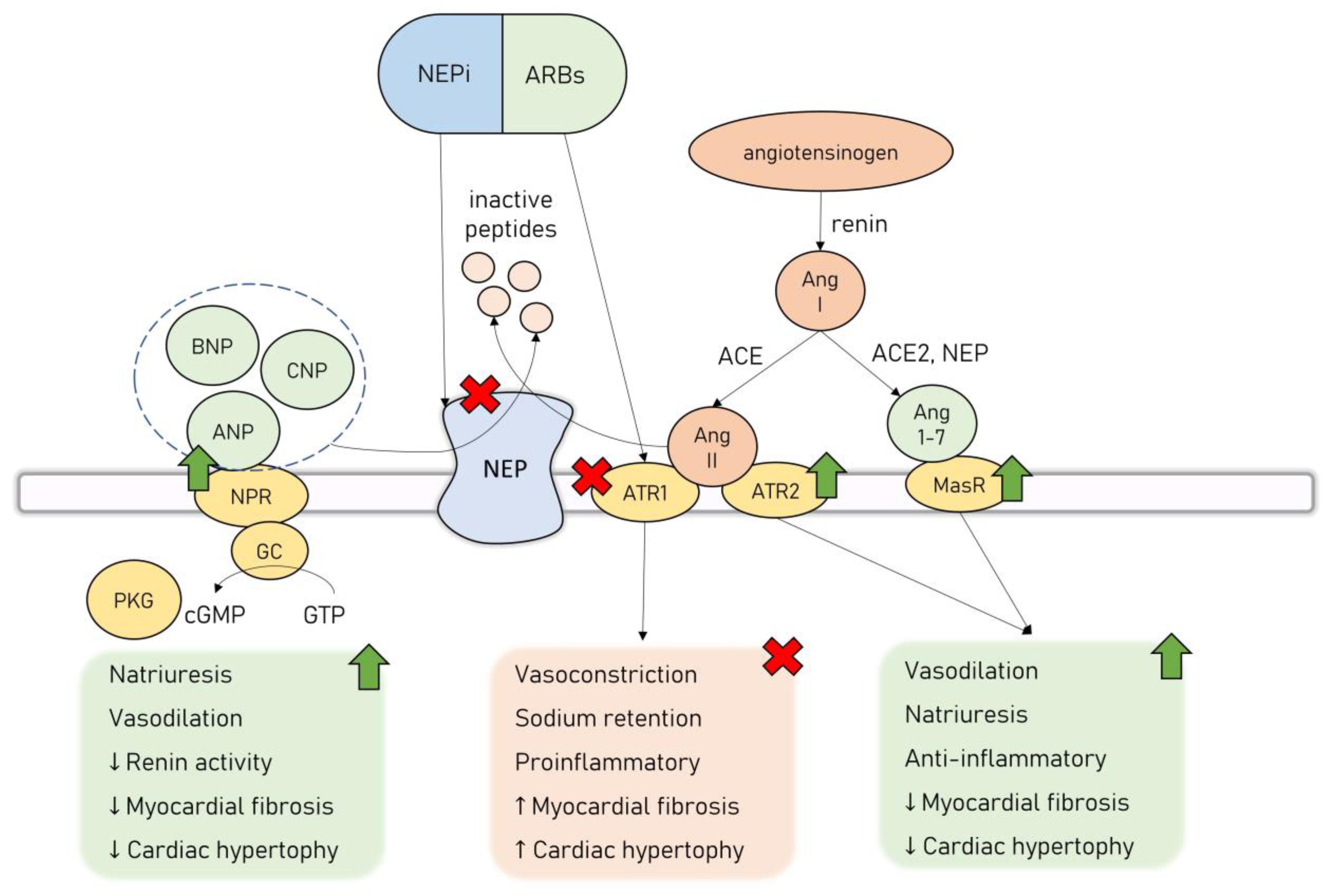 Cancers 15 00312 g002 Cancers 15 00312 g002